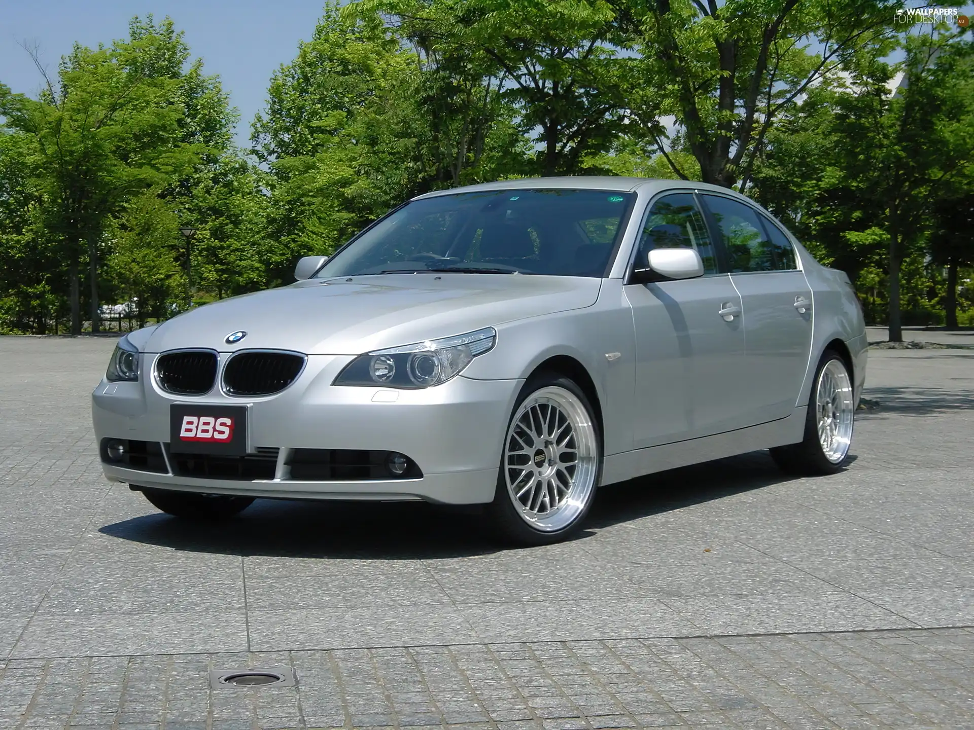 E60, BMW 5, trees, viewes, square, silver