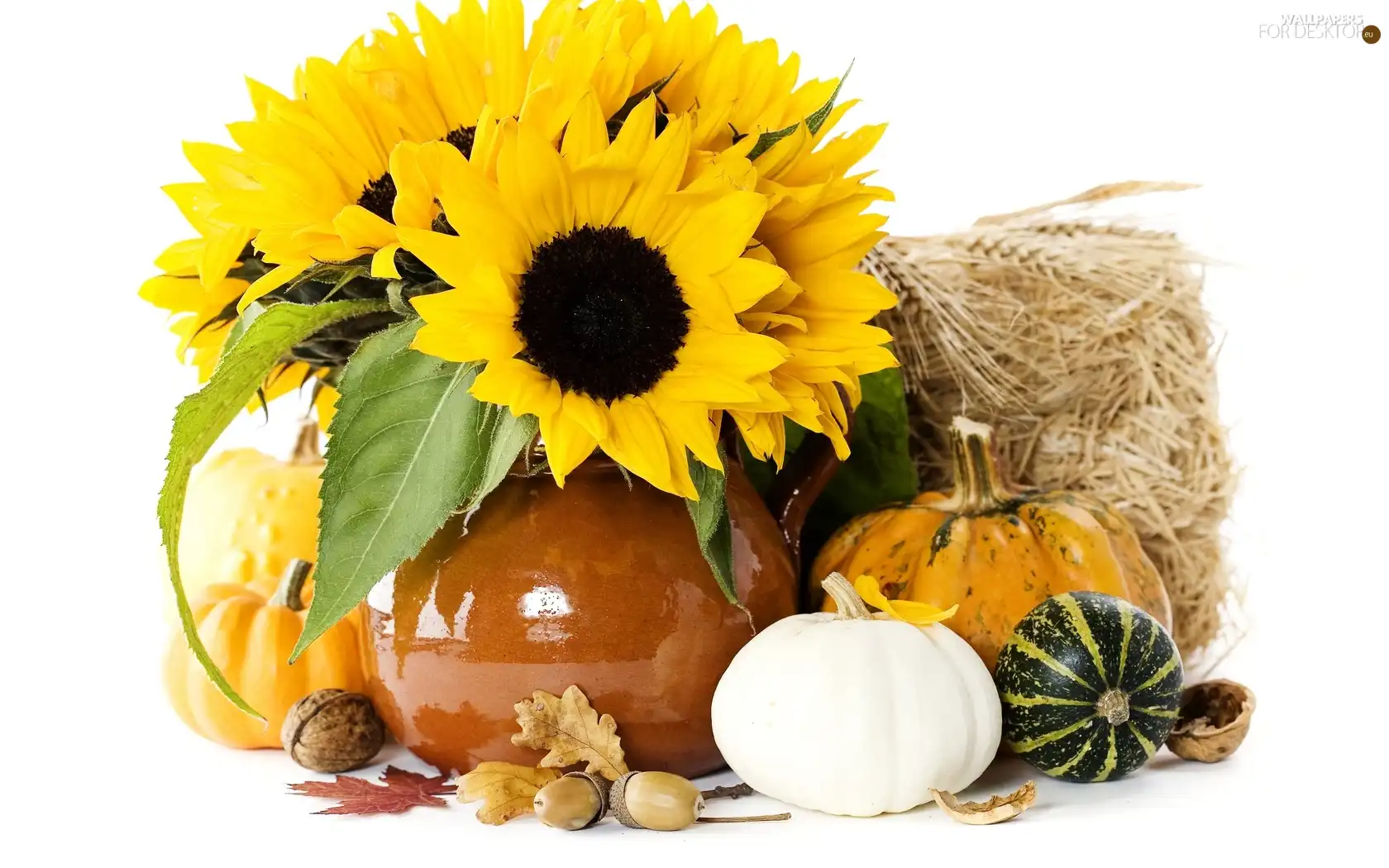 Ears, cereals, sunflowers, pumpkin, bouquet