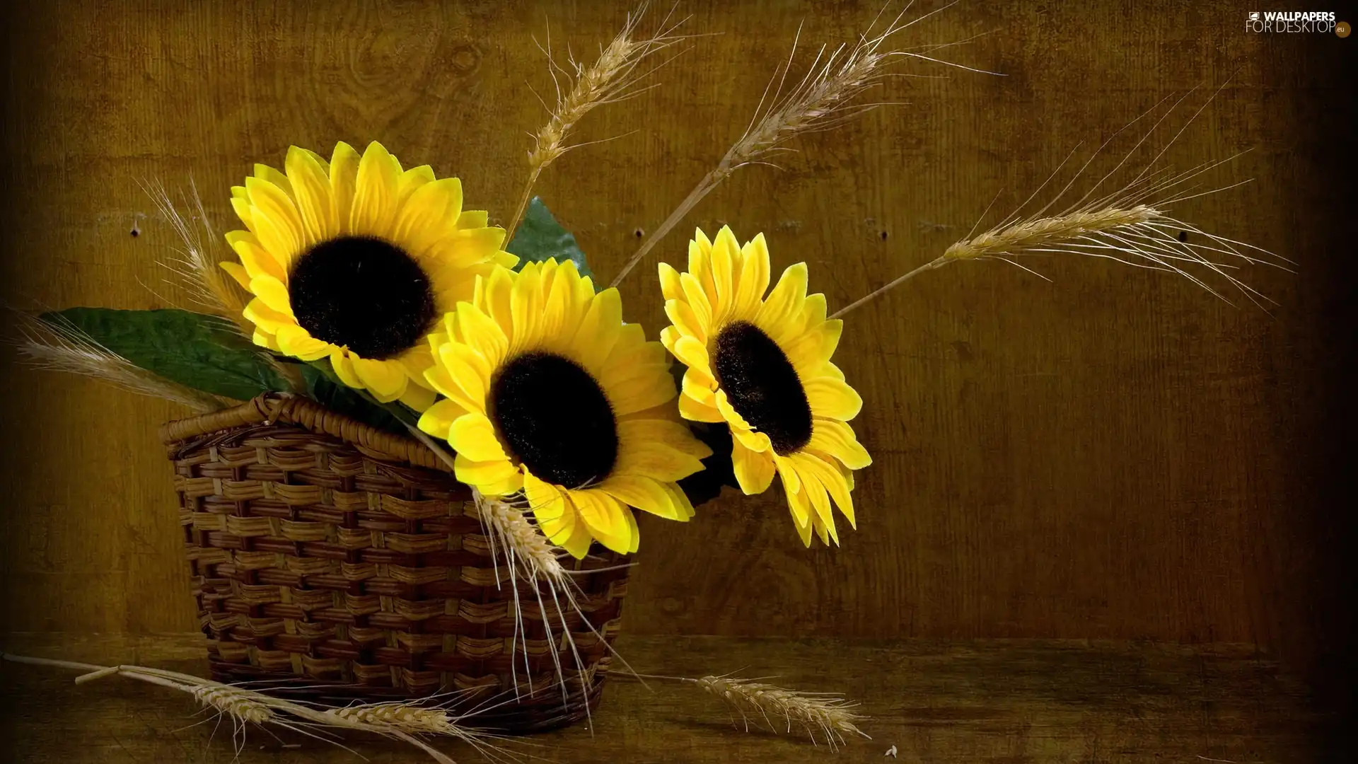 Ears, cereals, basket, Nice sunflowers, wicker