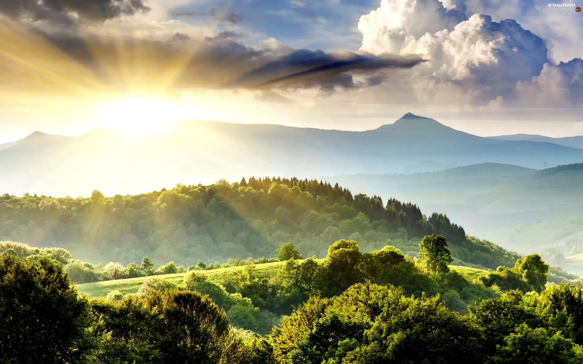 east, sun, Mountains, woods, clouds