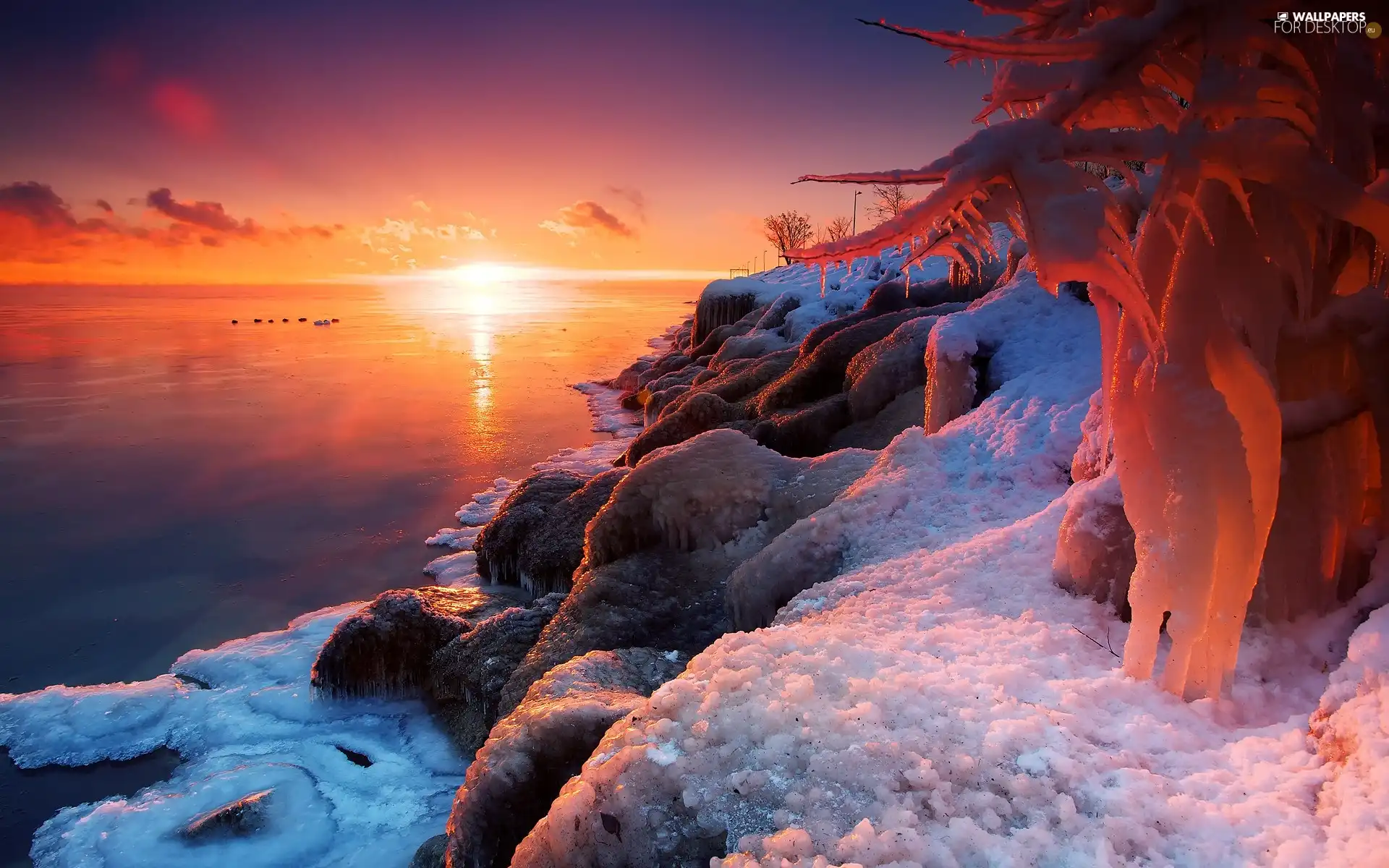 icicle, rocks, sun, ice, Coast, east, winter