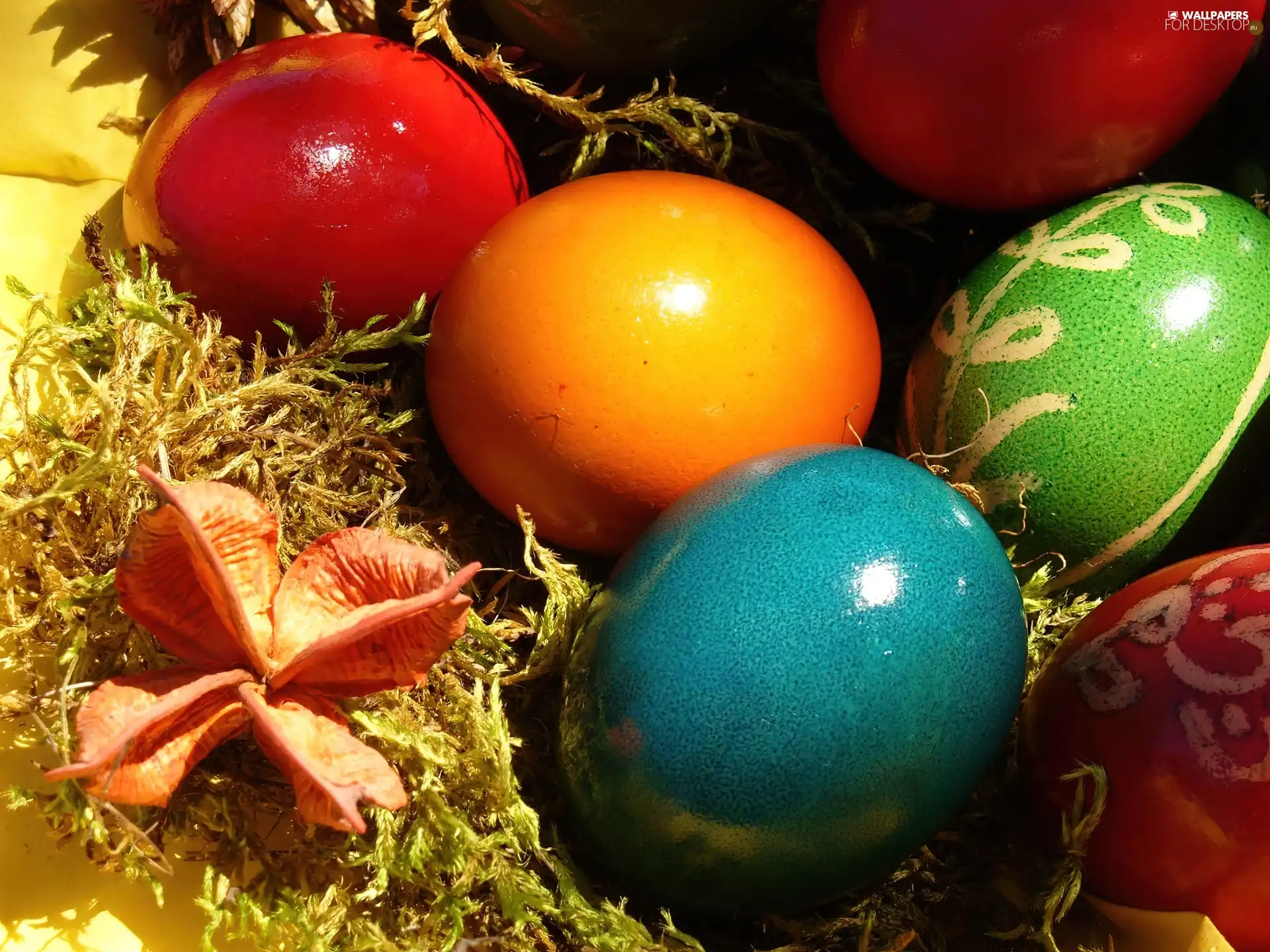 eggs, easter