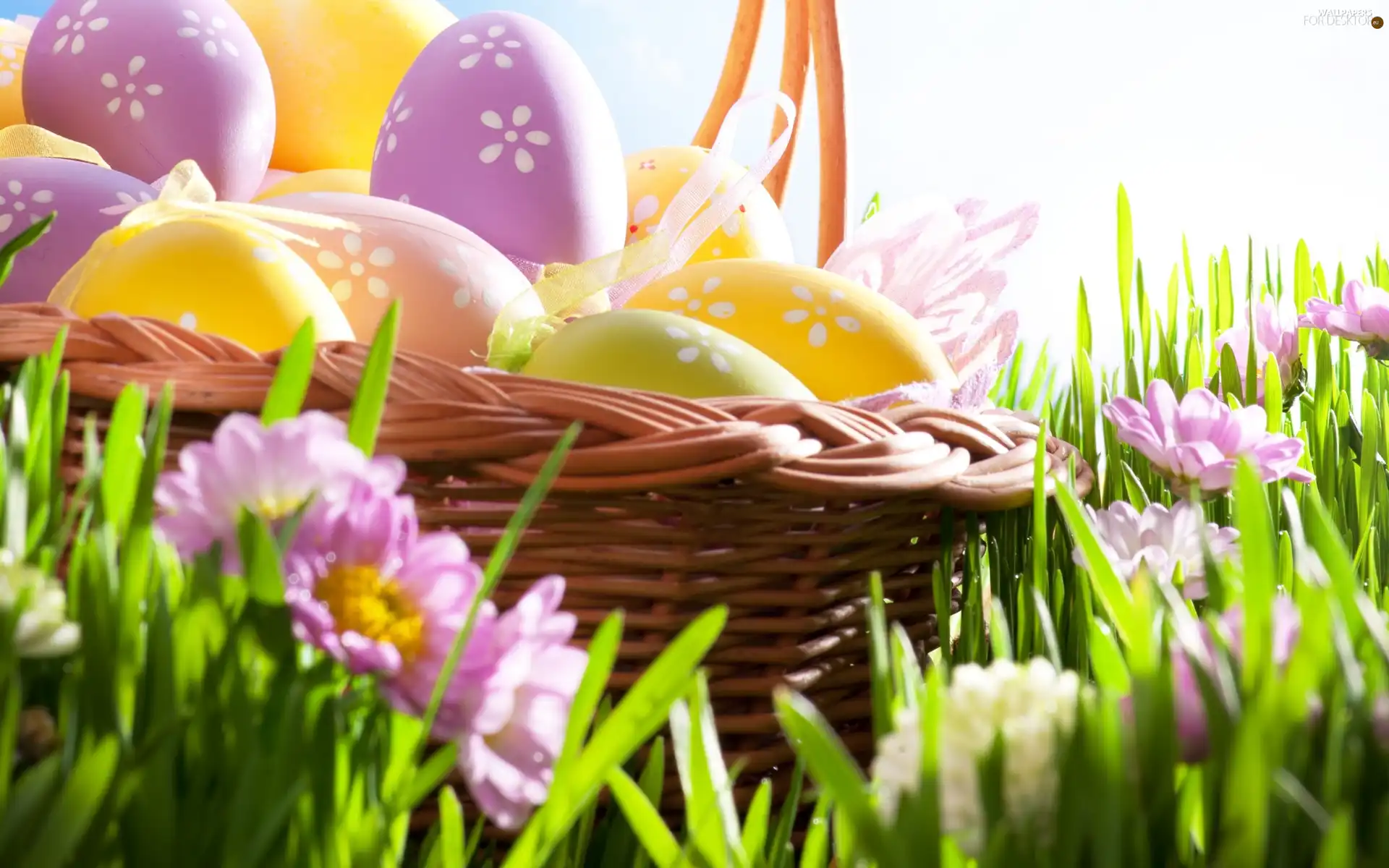 Easter, basket, eggs