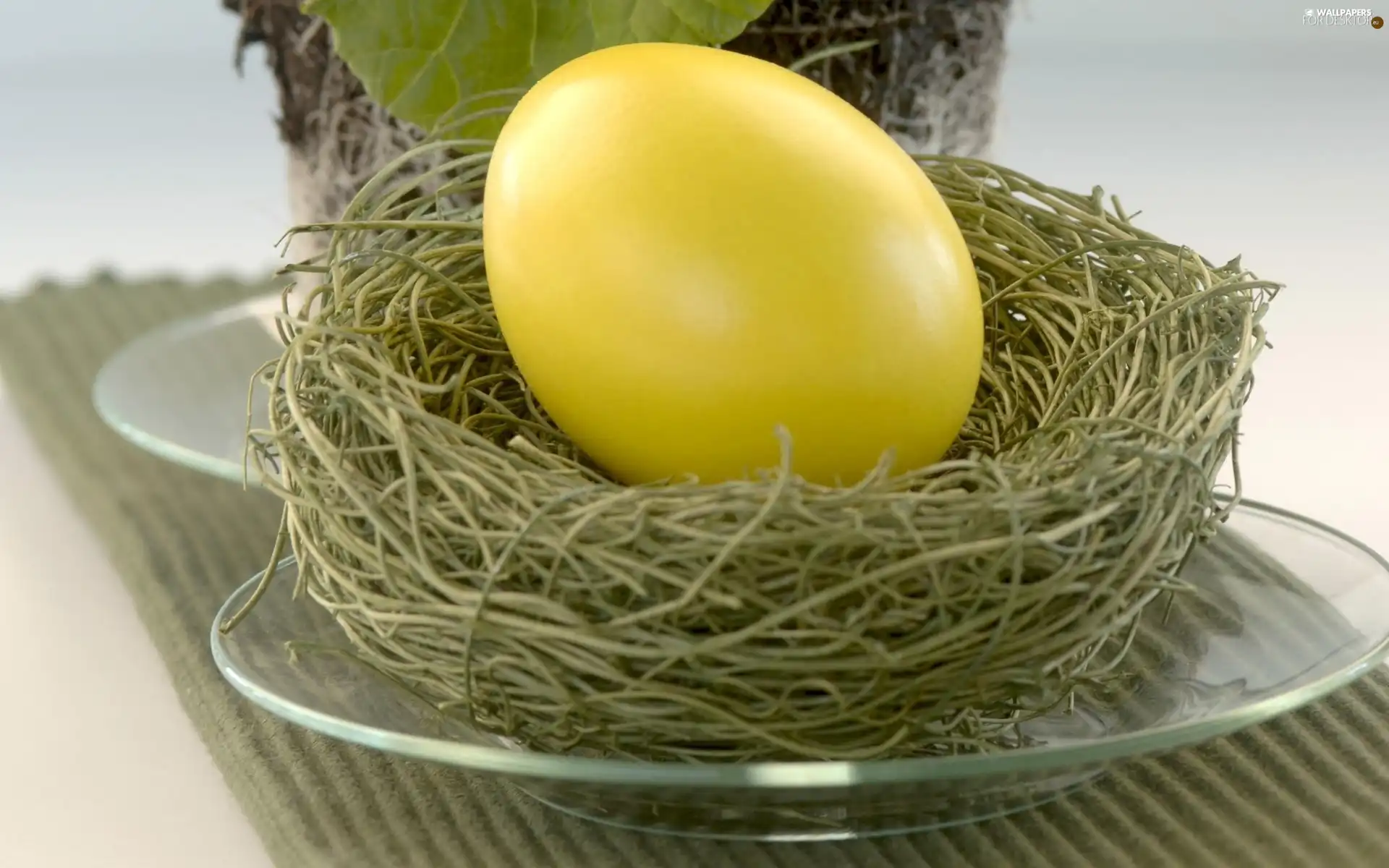 Easter, egg, nest