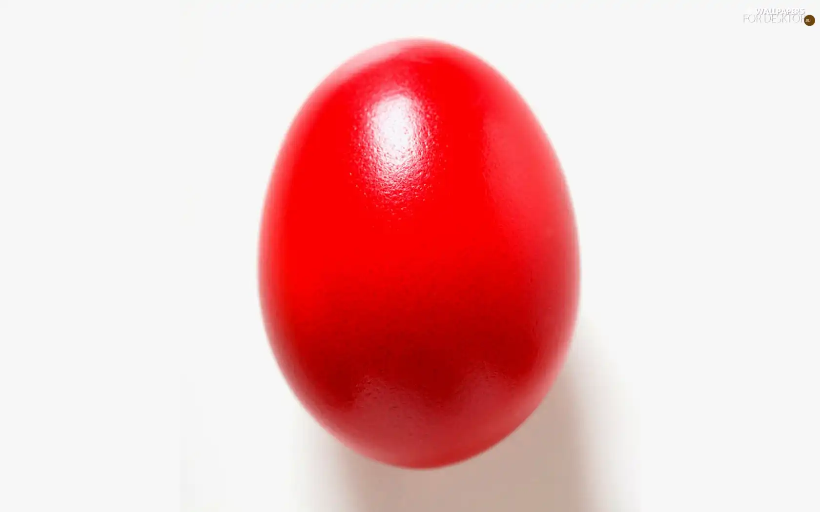 Red, egg