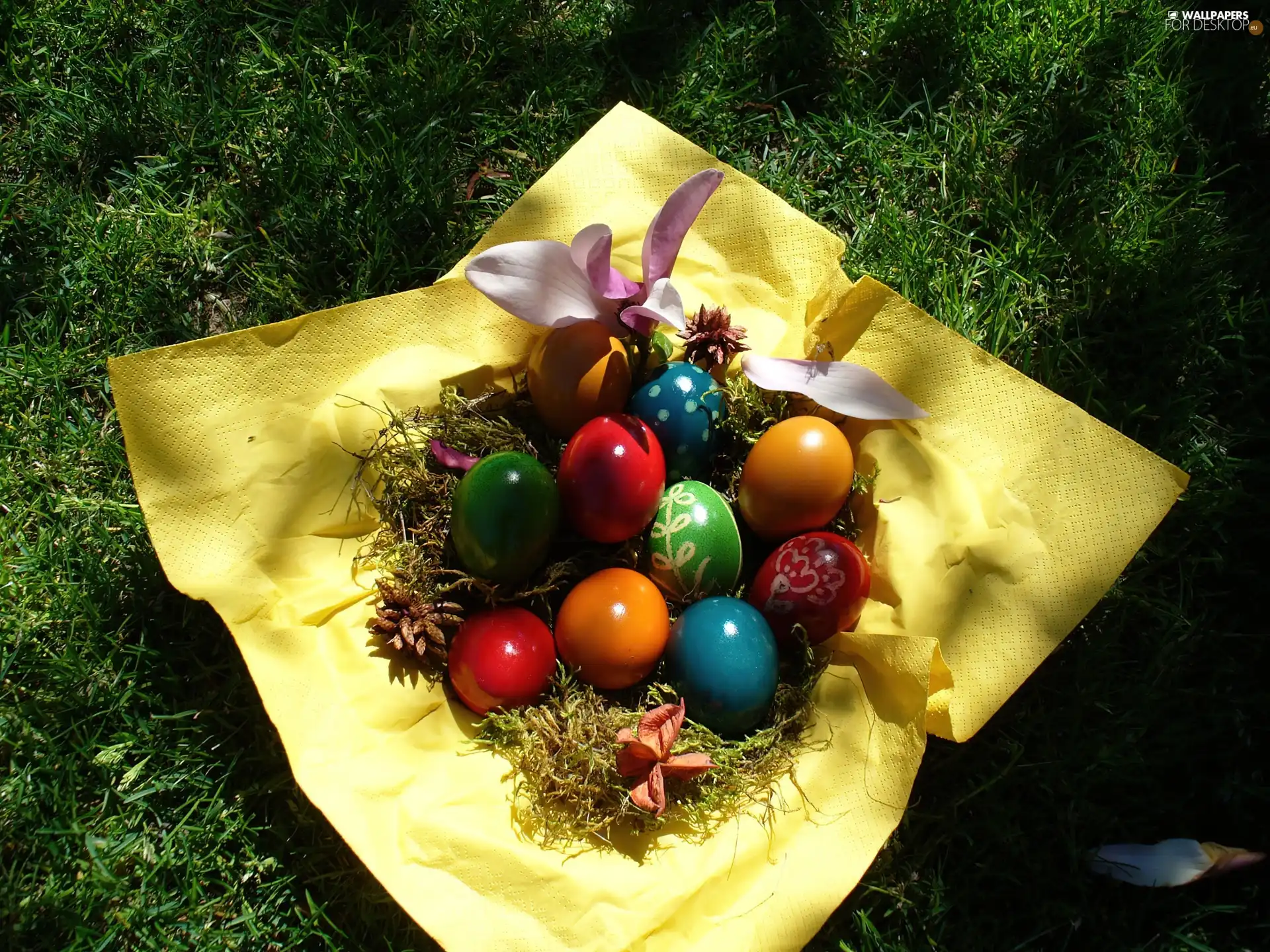 eggs, easter, color