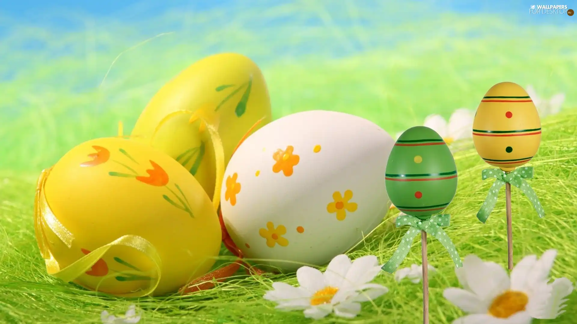 eggs, easter, grass, daisy, Green