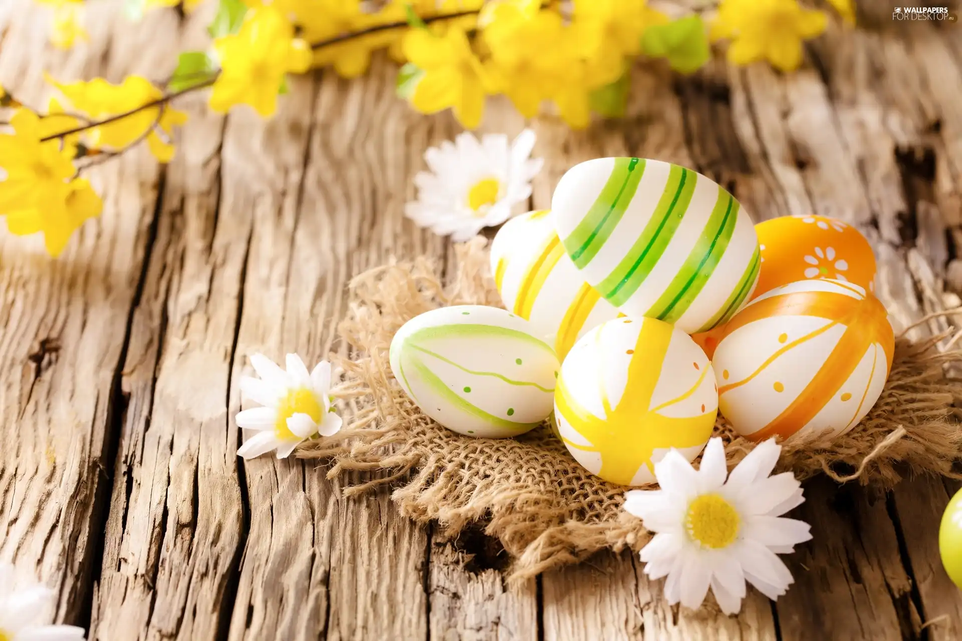 eggs, Easter, eggs