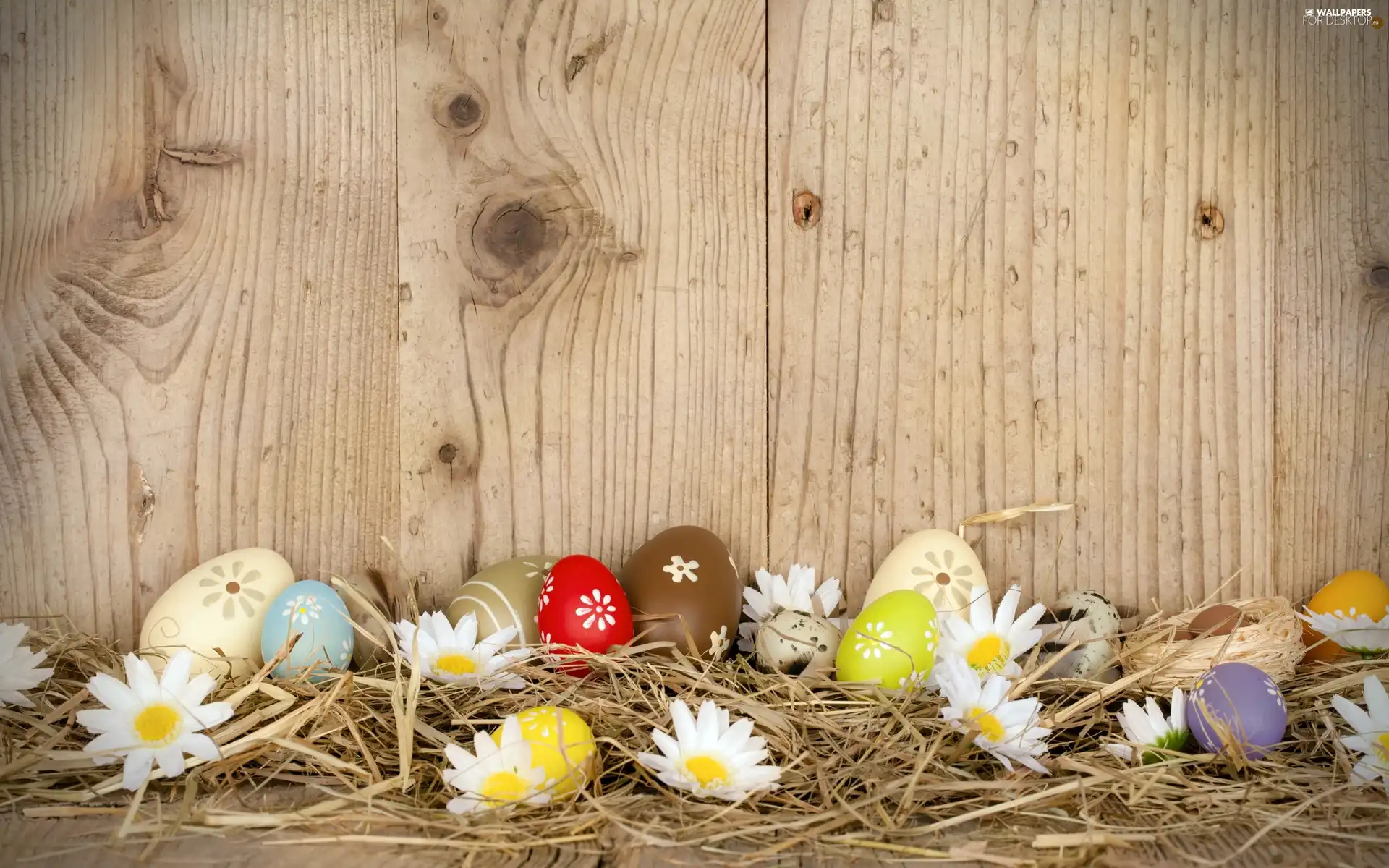 eggs, Easter, eggs