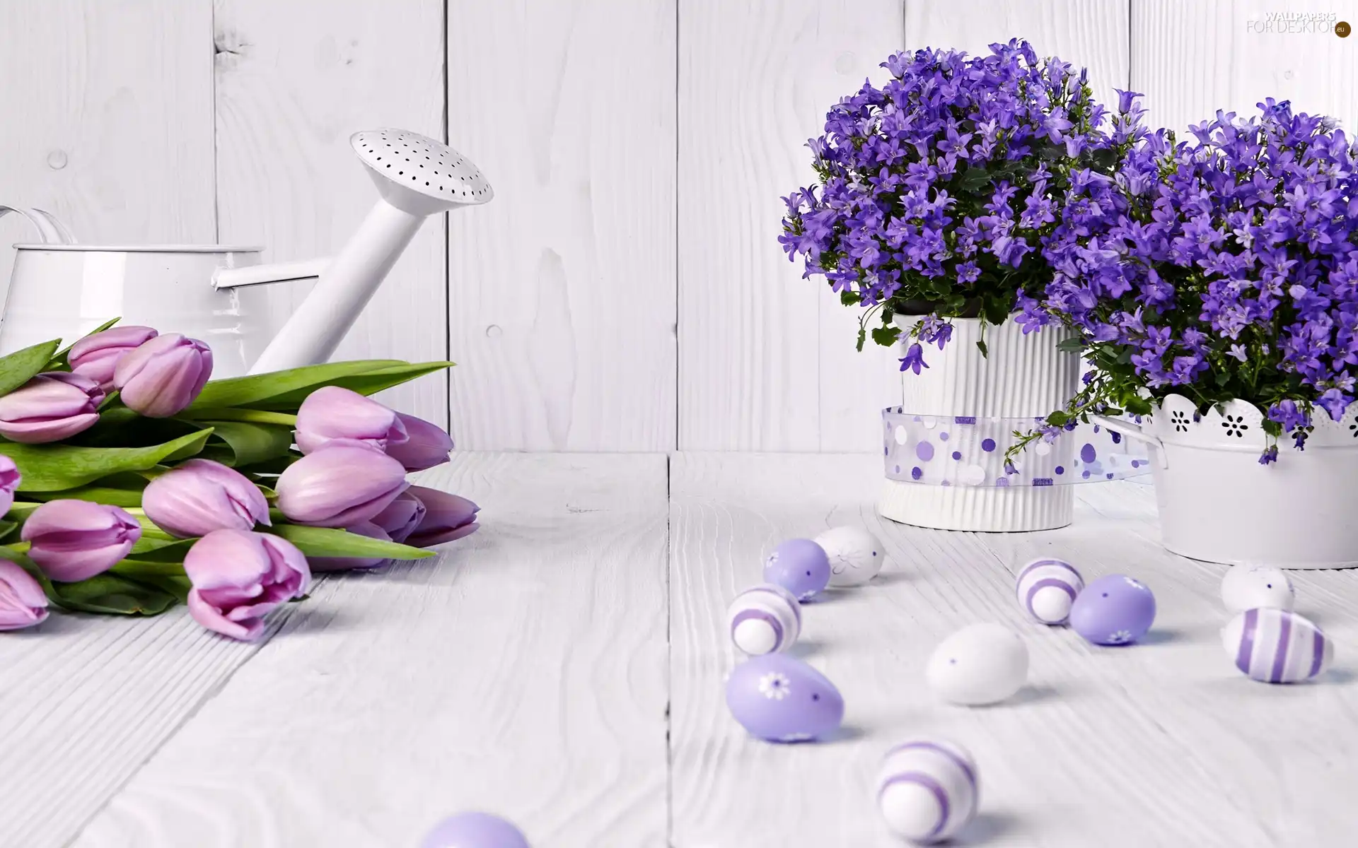 Flowers, eggs