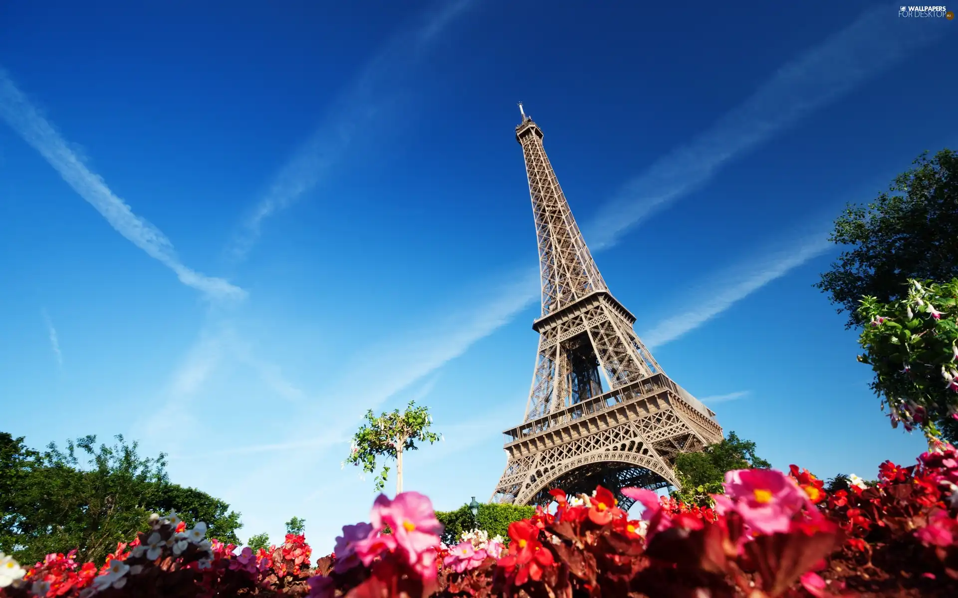 France, tower, Eiffla, Paris