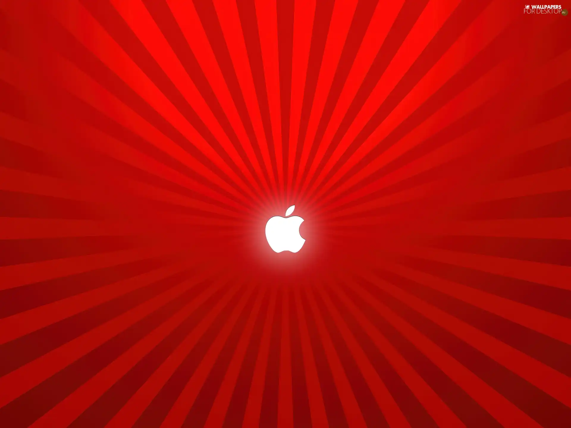 Apple, equipment, electronic, producer