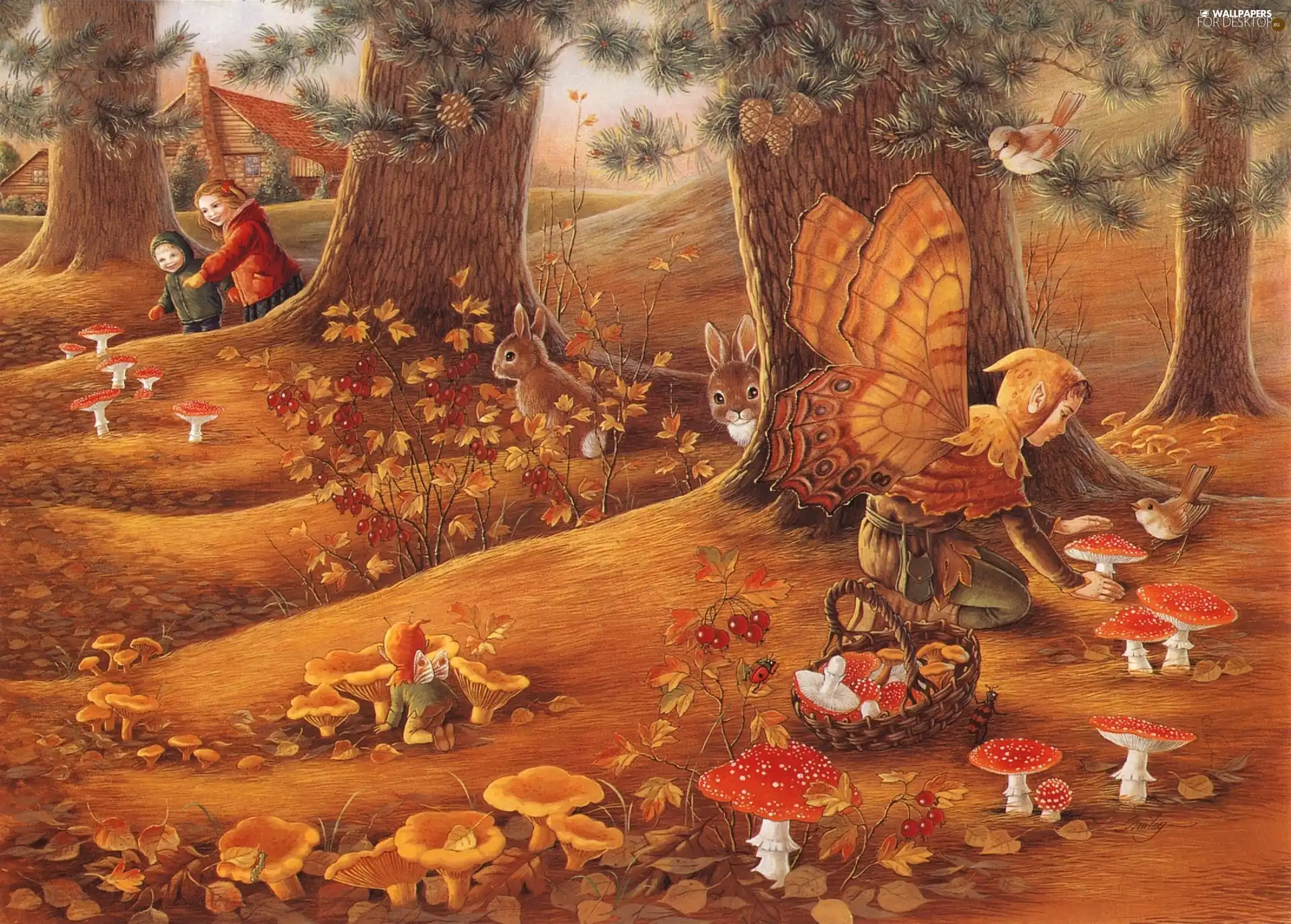 autumn, mushrooms, elves, forest