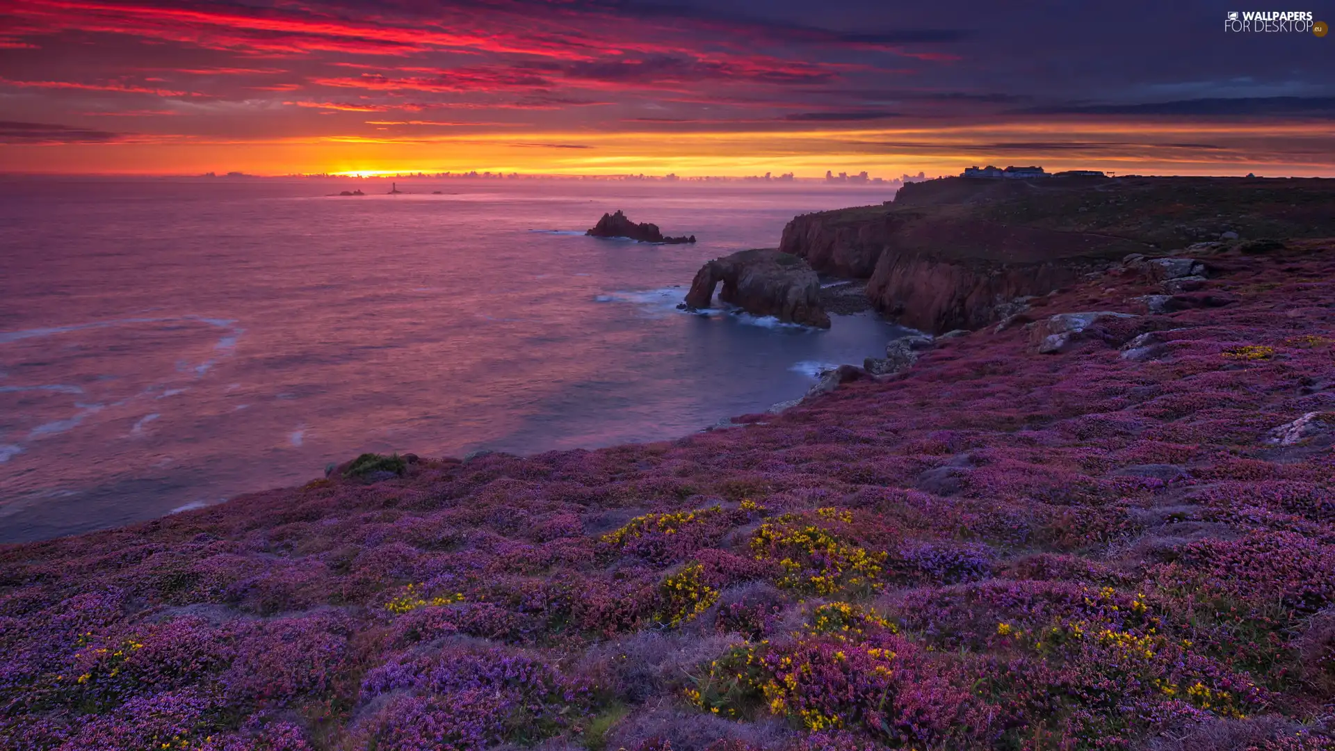 heath, Coast, Cornwall, England, rocks, Great Sunsets