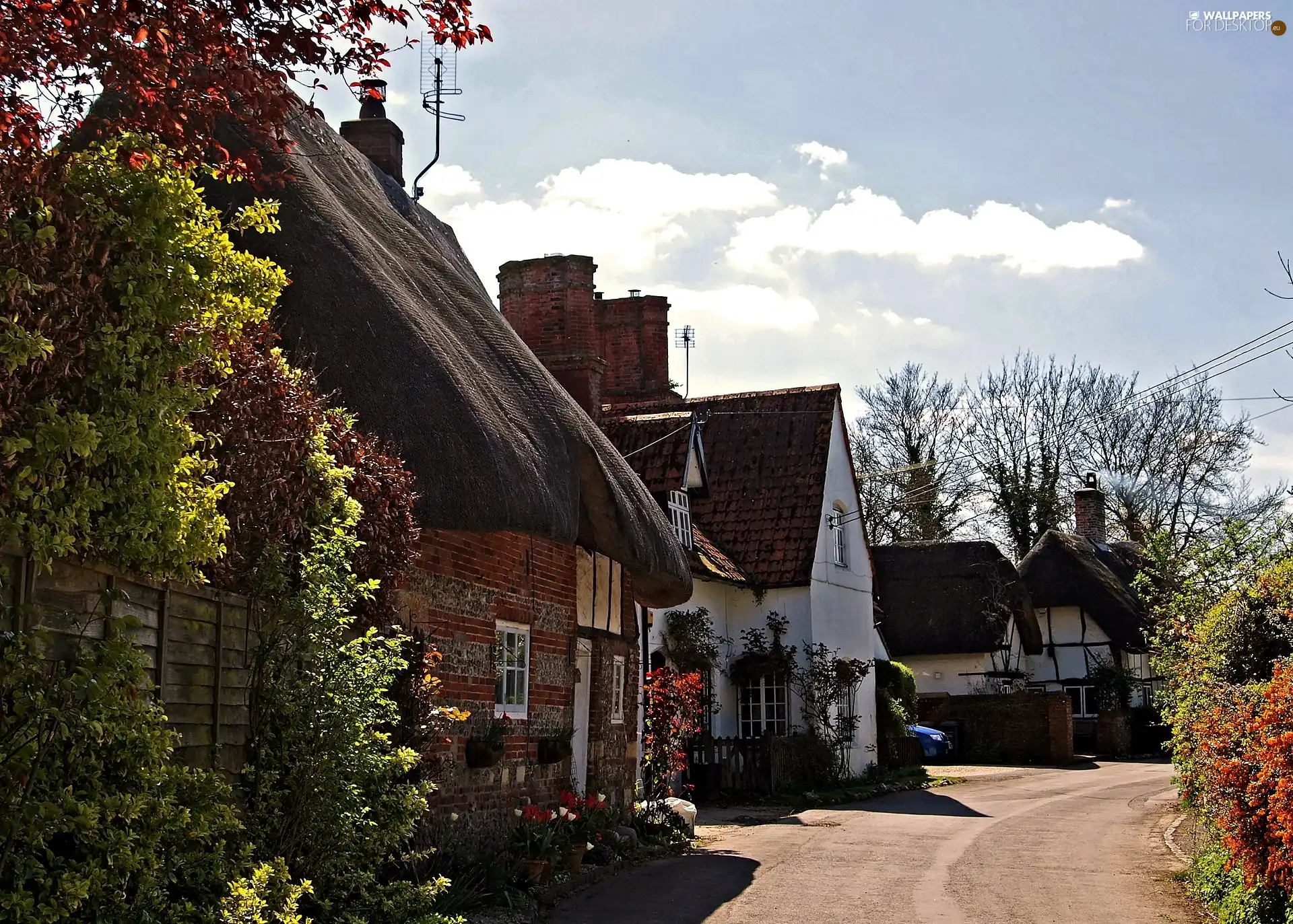 Houses, Nether Wallop Village, England, Way