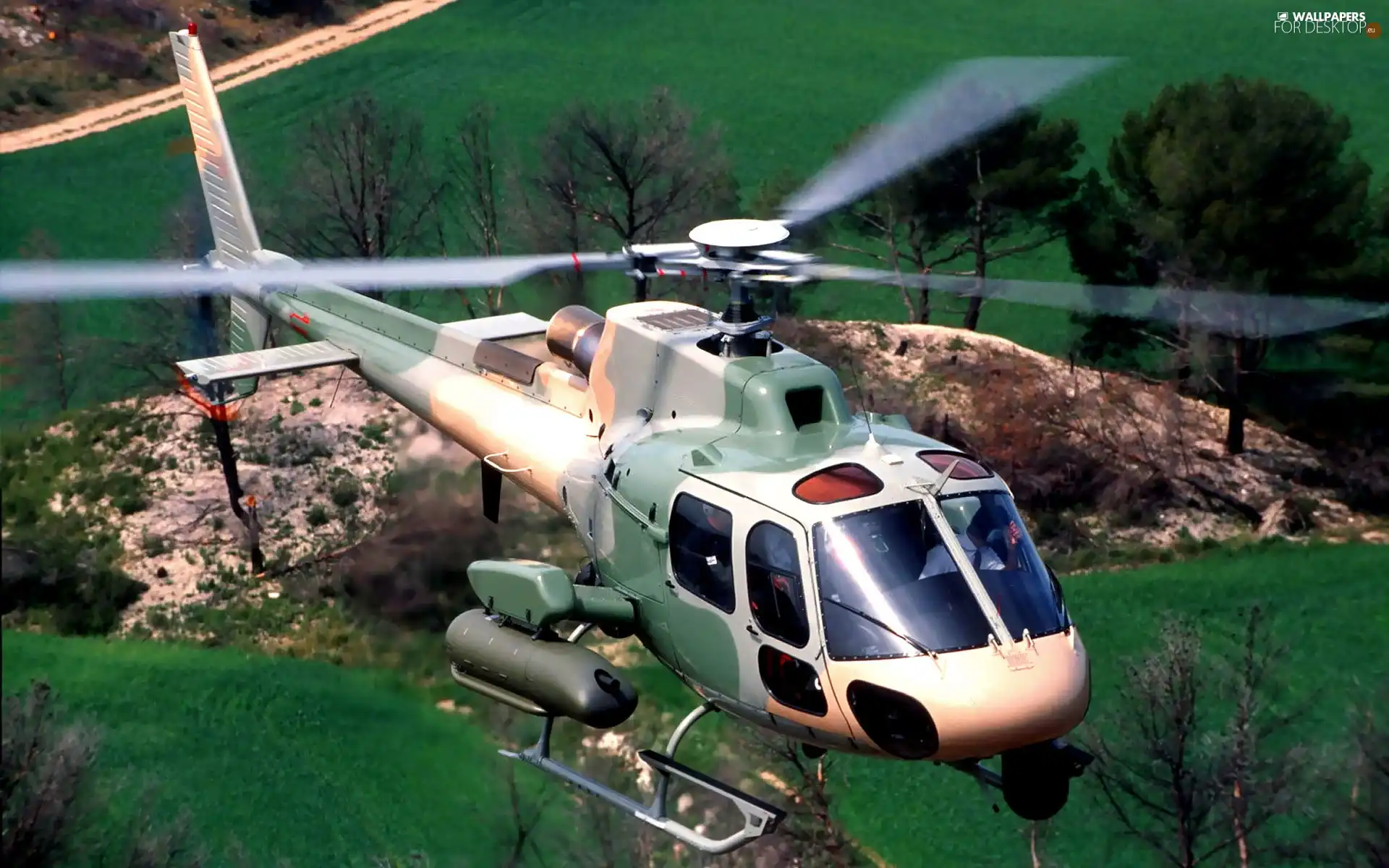 Eurocopter AS-550 Fennec