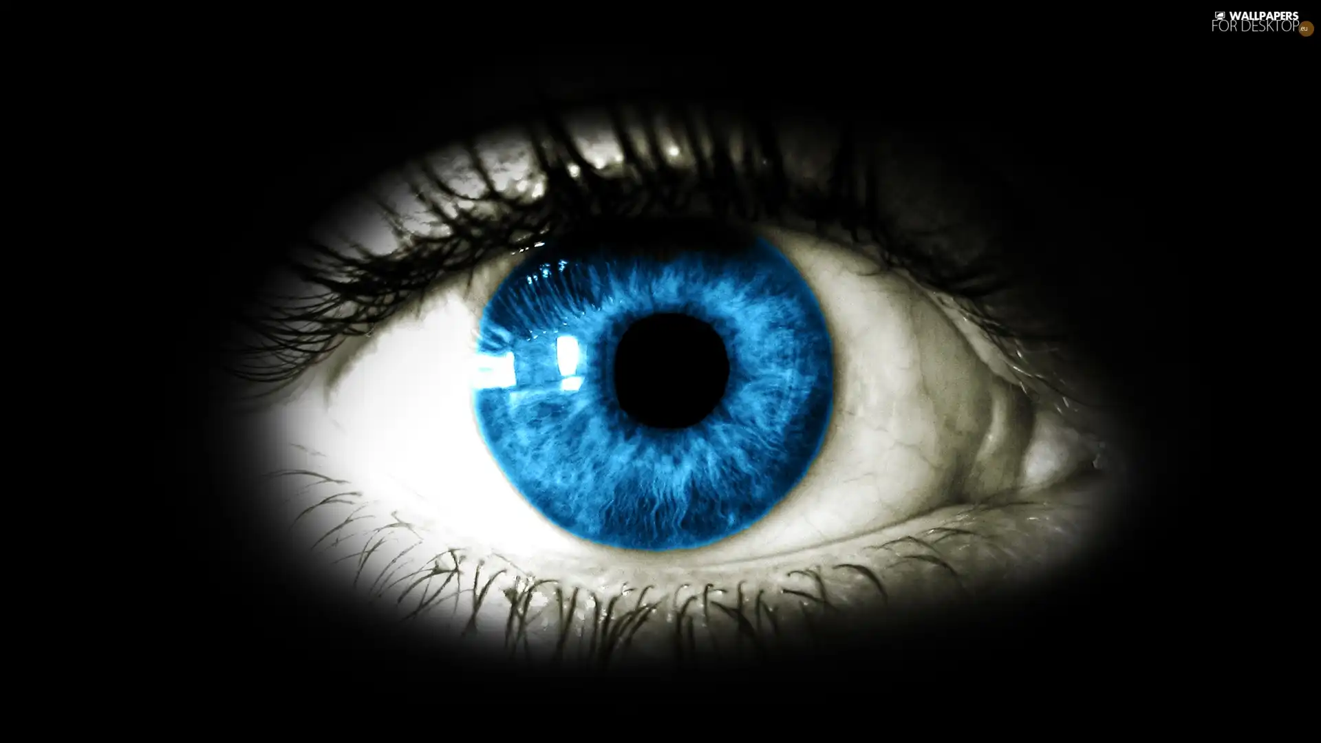 Blue, eye