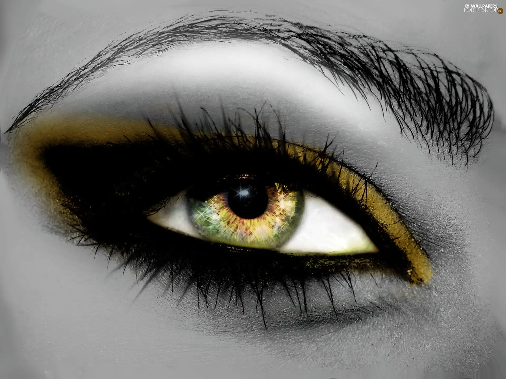 eye, Golden, shadows