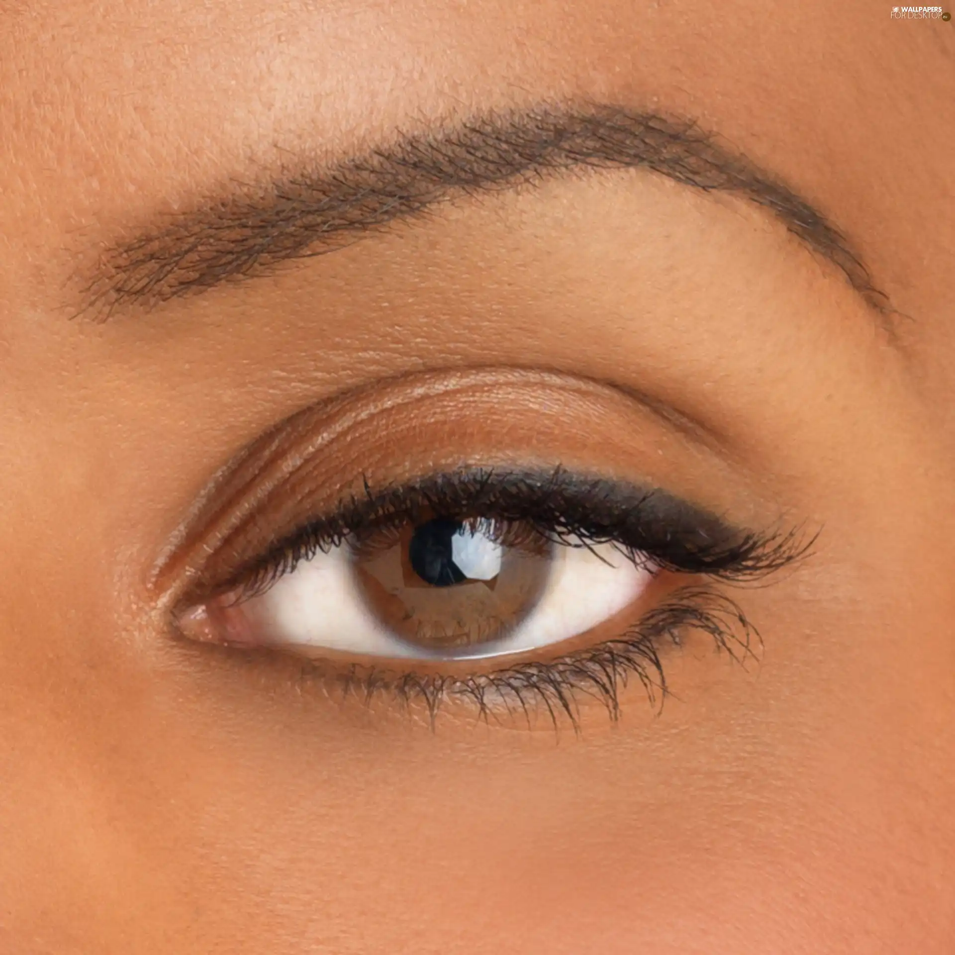 make-up, Brown, eye