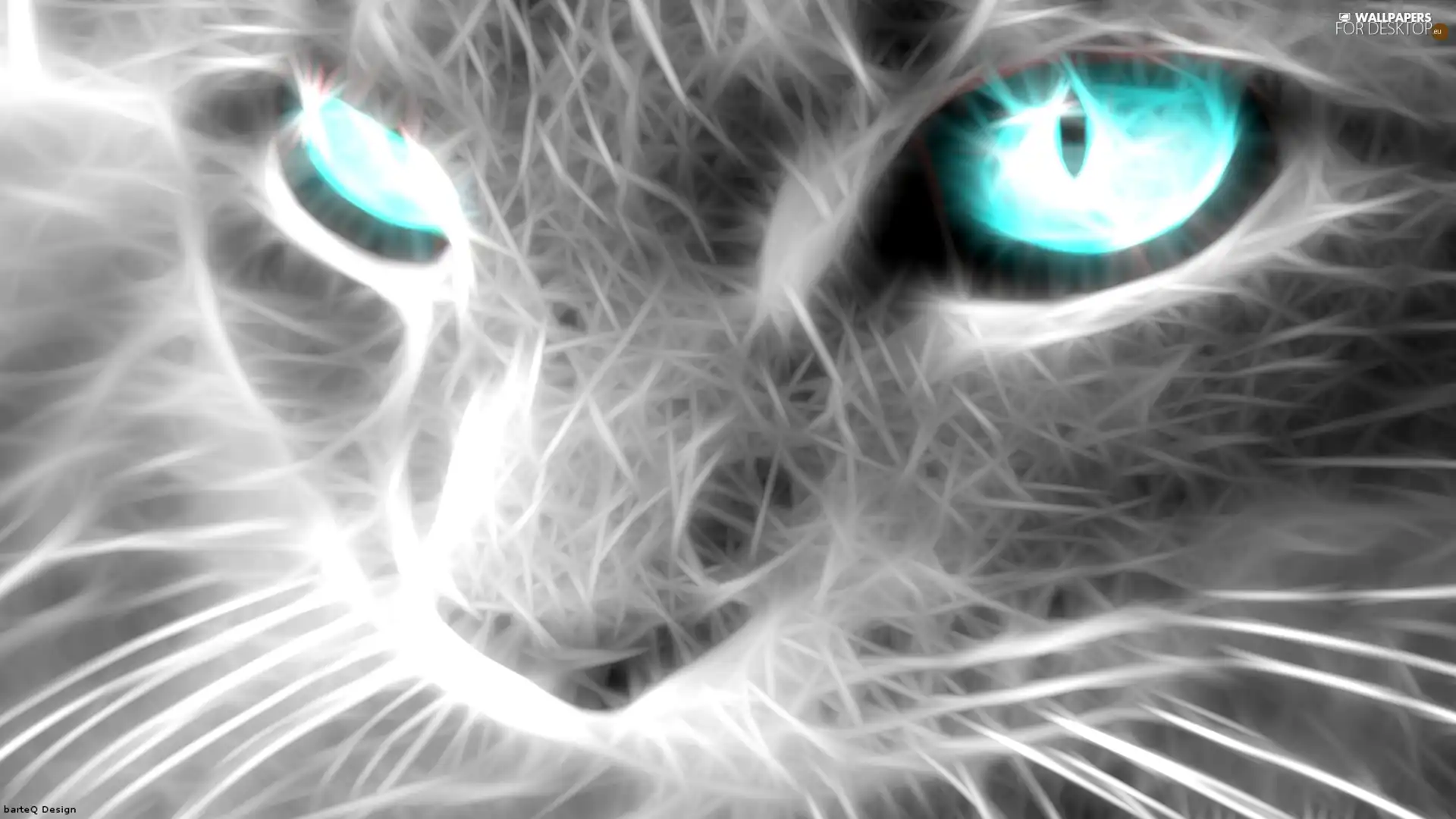 cat, Blue, Eyes, Fractulius