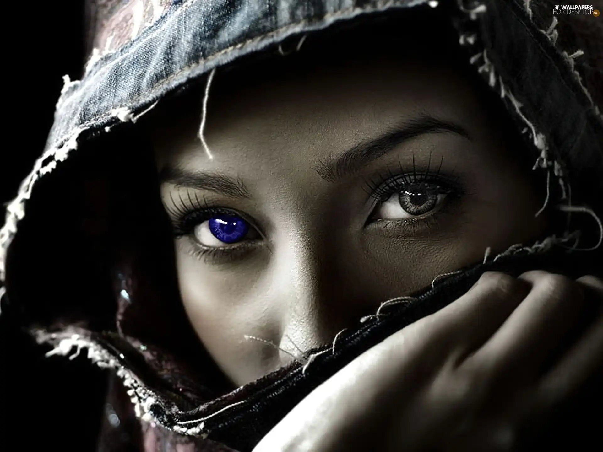 Eyes, Women, color