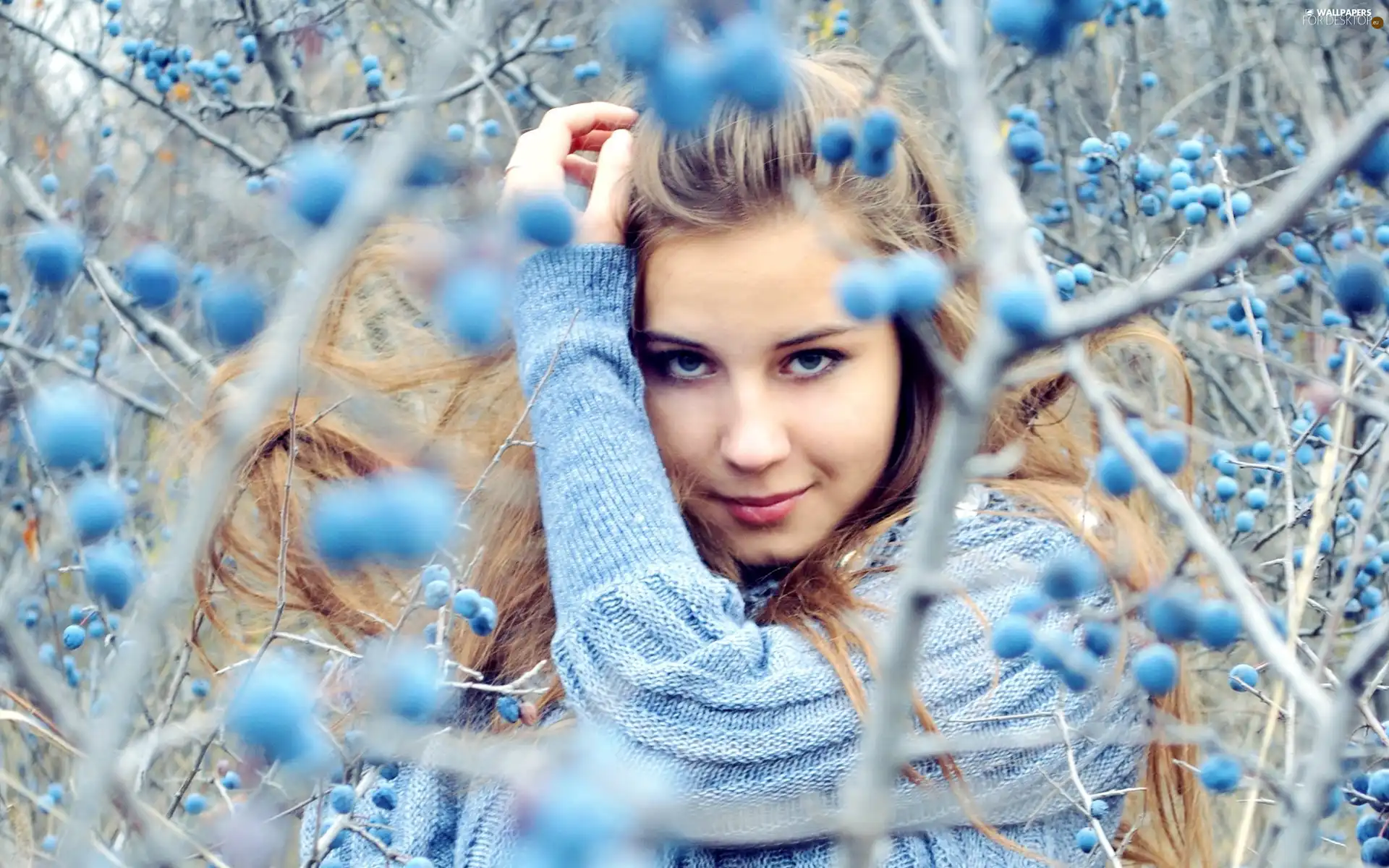 face, Women, Blonde