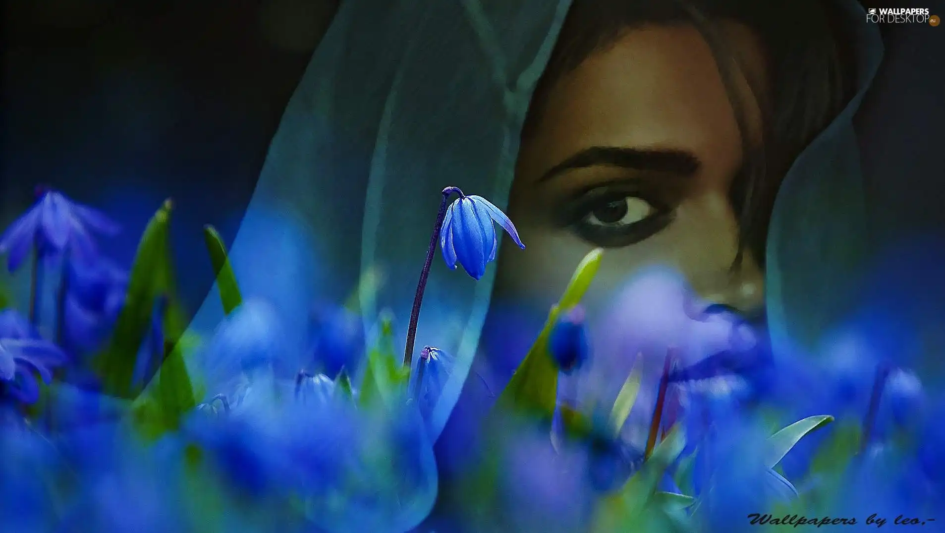 Eyes, Colourfull Flowers, face