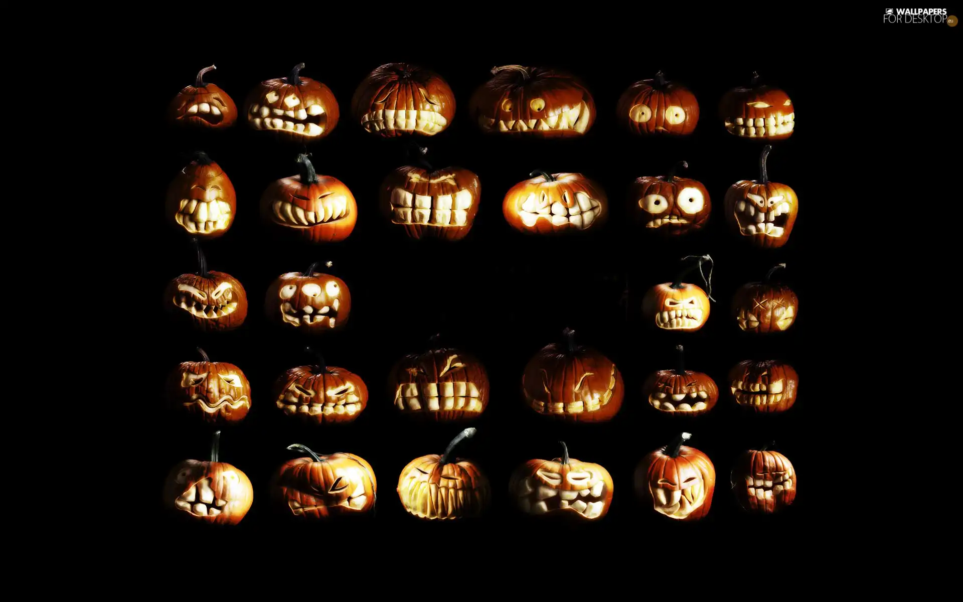 pumpkin, face