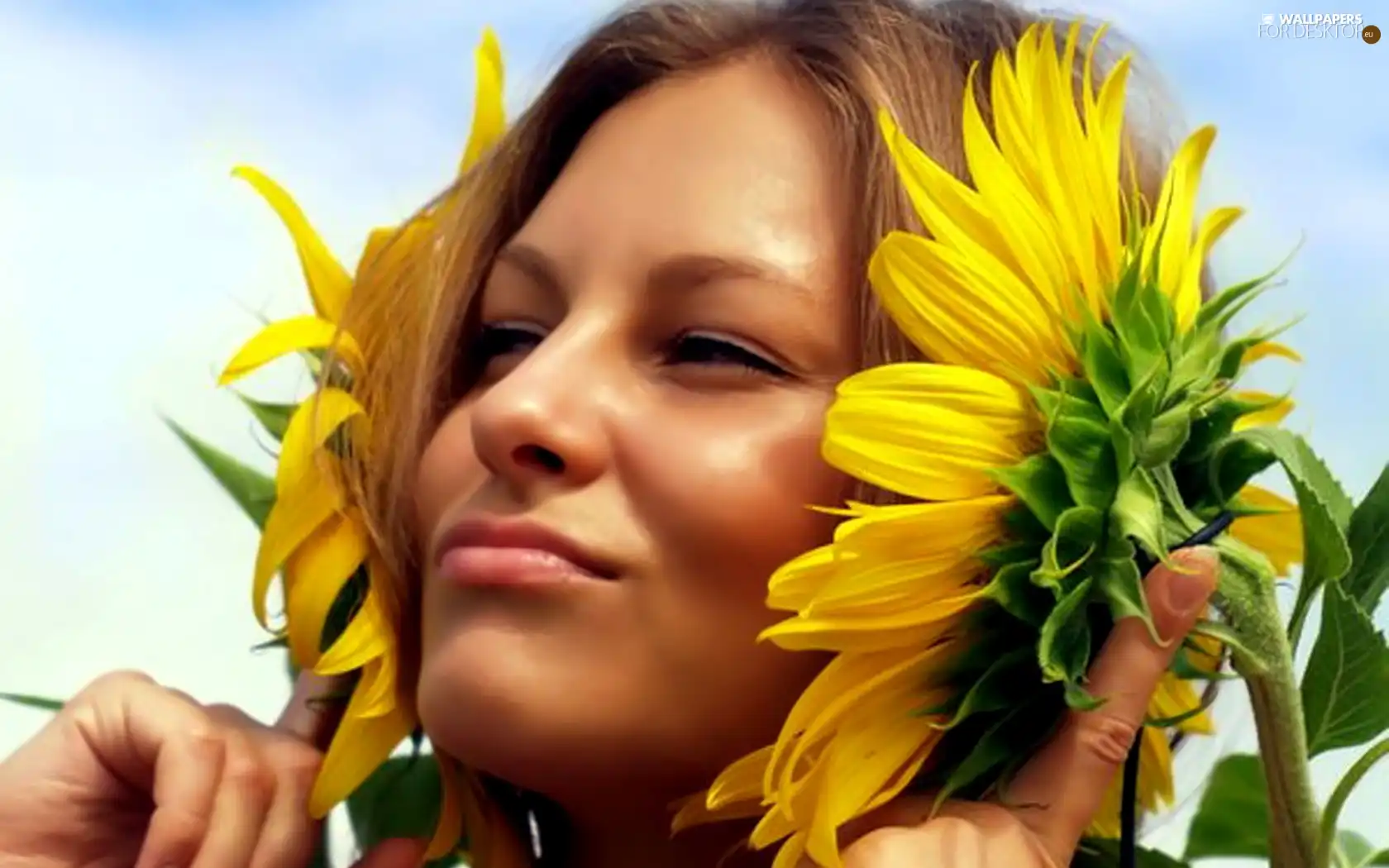 Nice sunflowers, woman, face