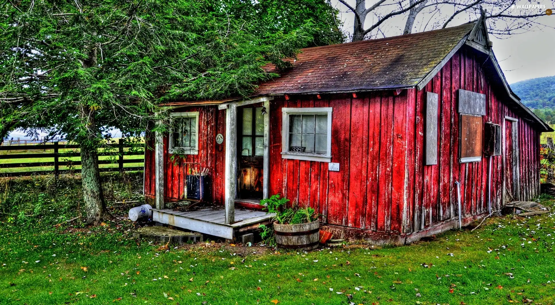 small, trees, Fance, Home