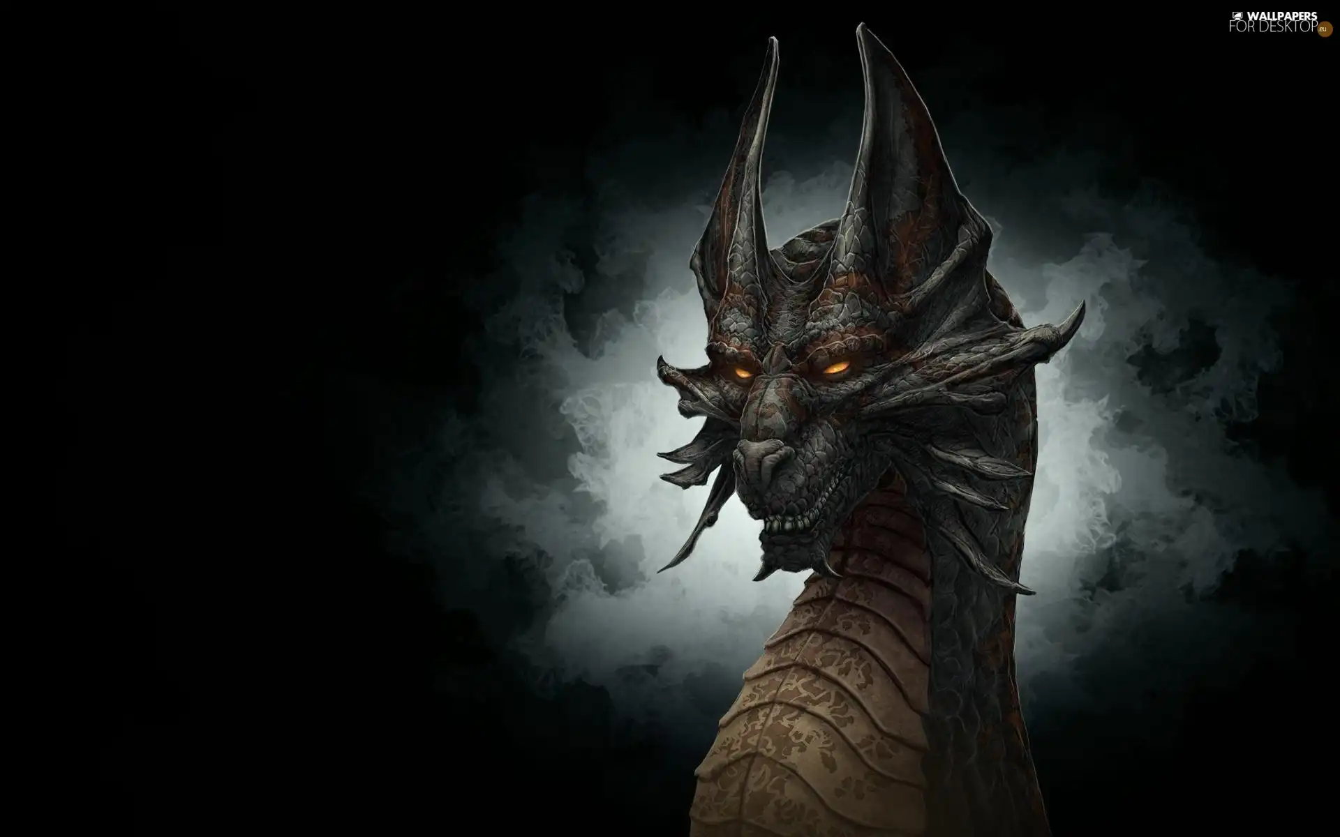 fantasy, Head, dragon