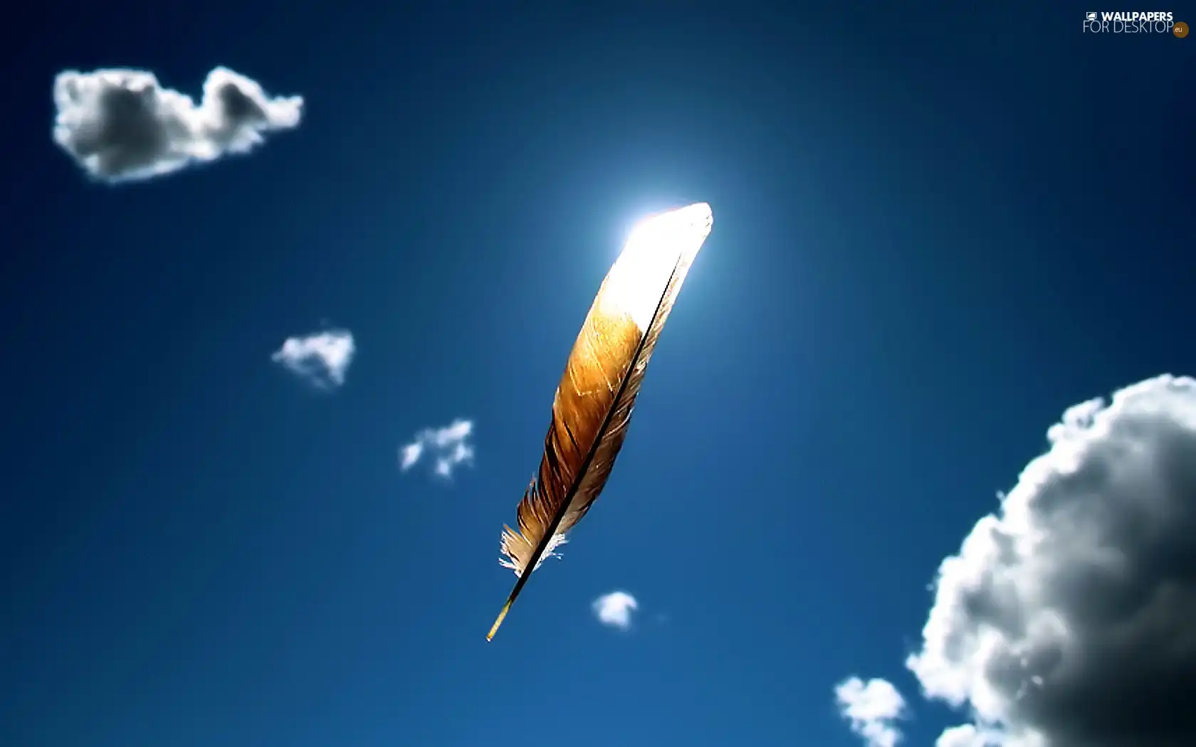 feather, Sky, clouds