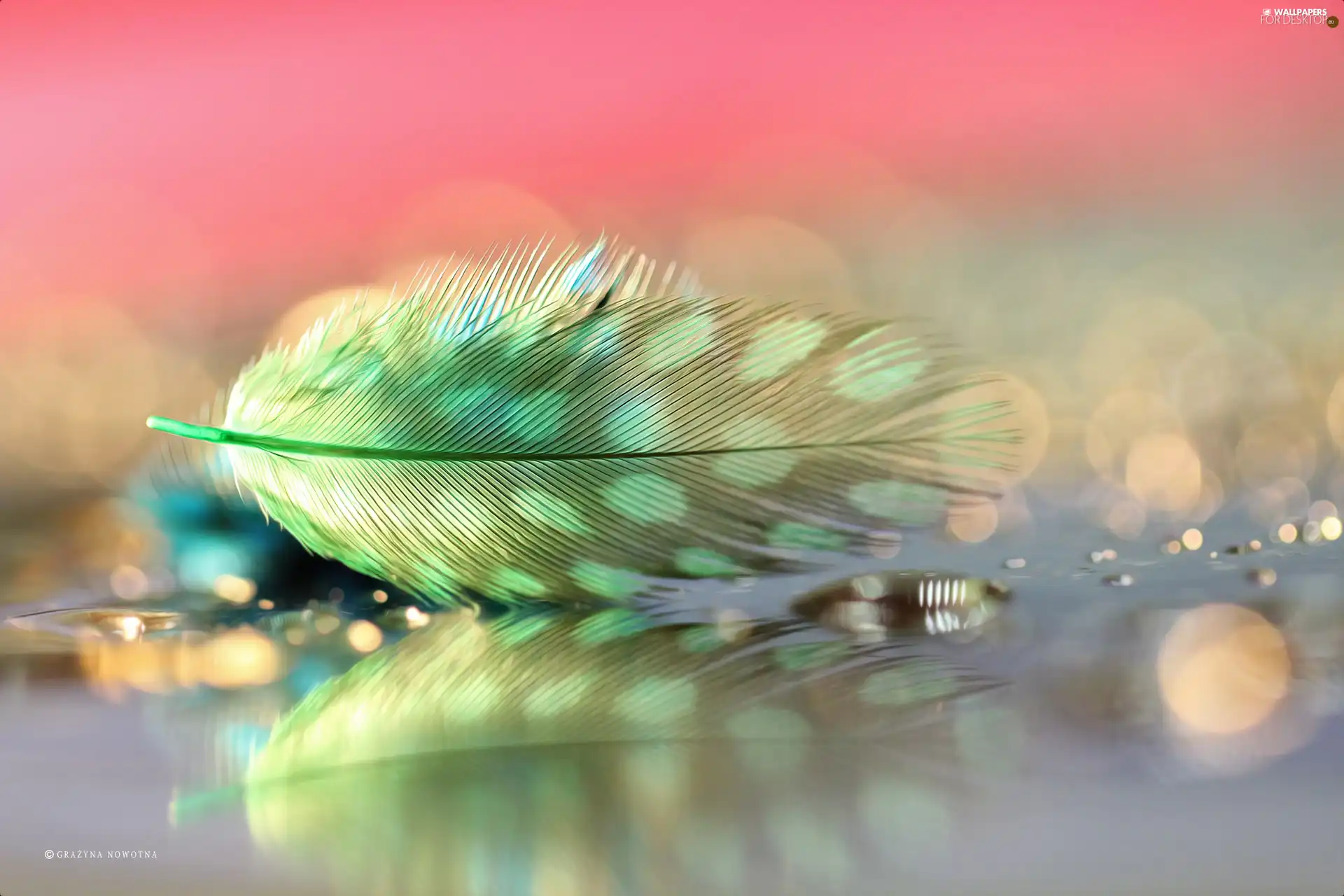 Close, green ones, feather