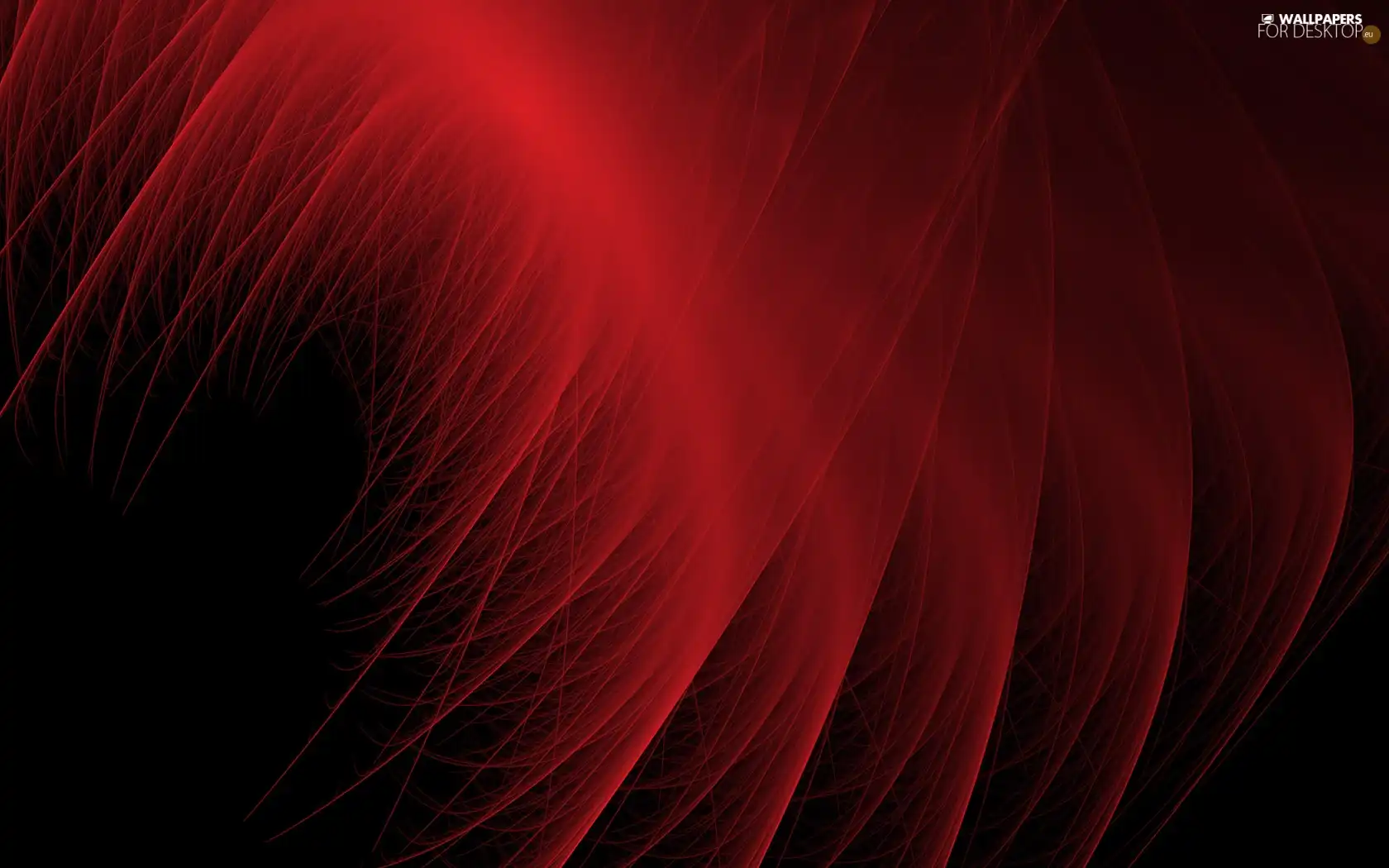 Red, feather