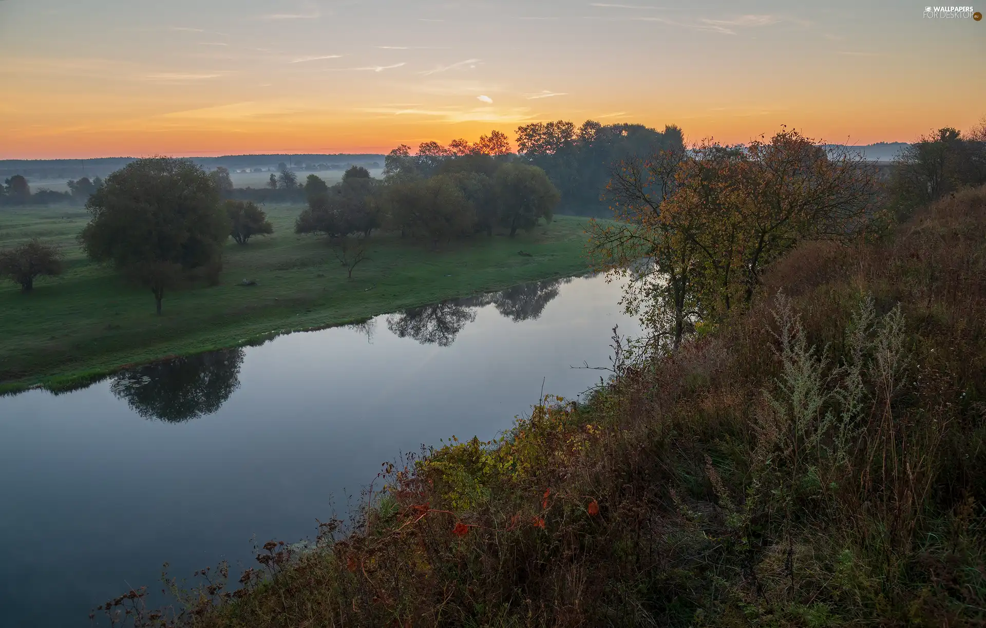 field, River, Meadow, trees, Sunrise, Fog, grass, Bush, viewes