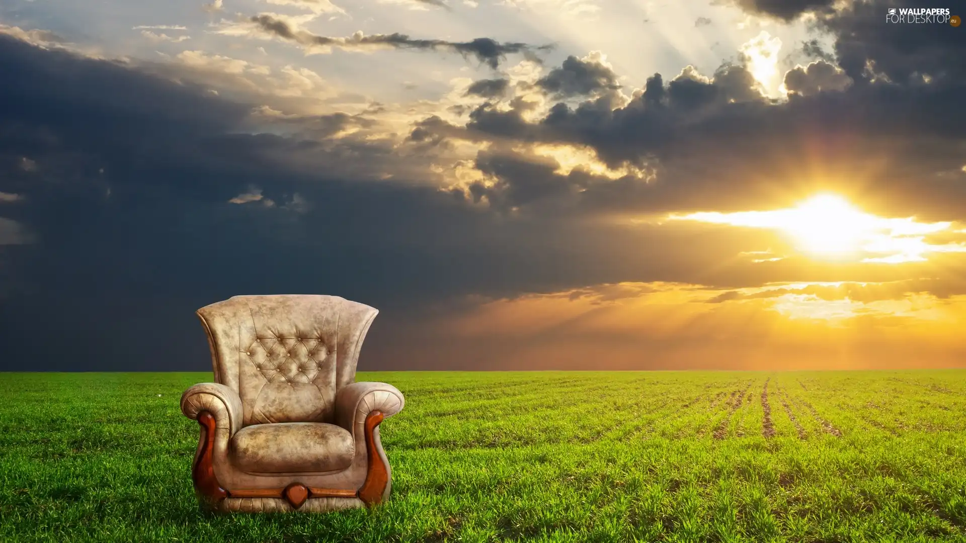 Armchair, Great Sunsets, Field