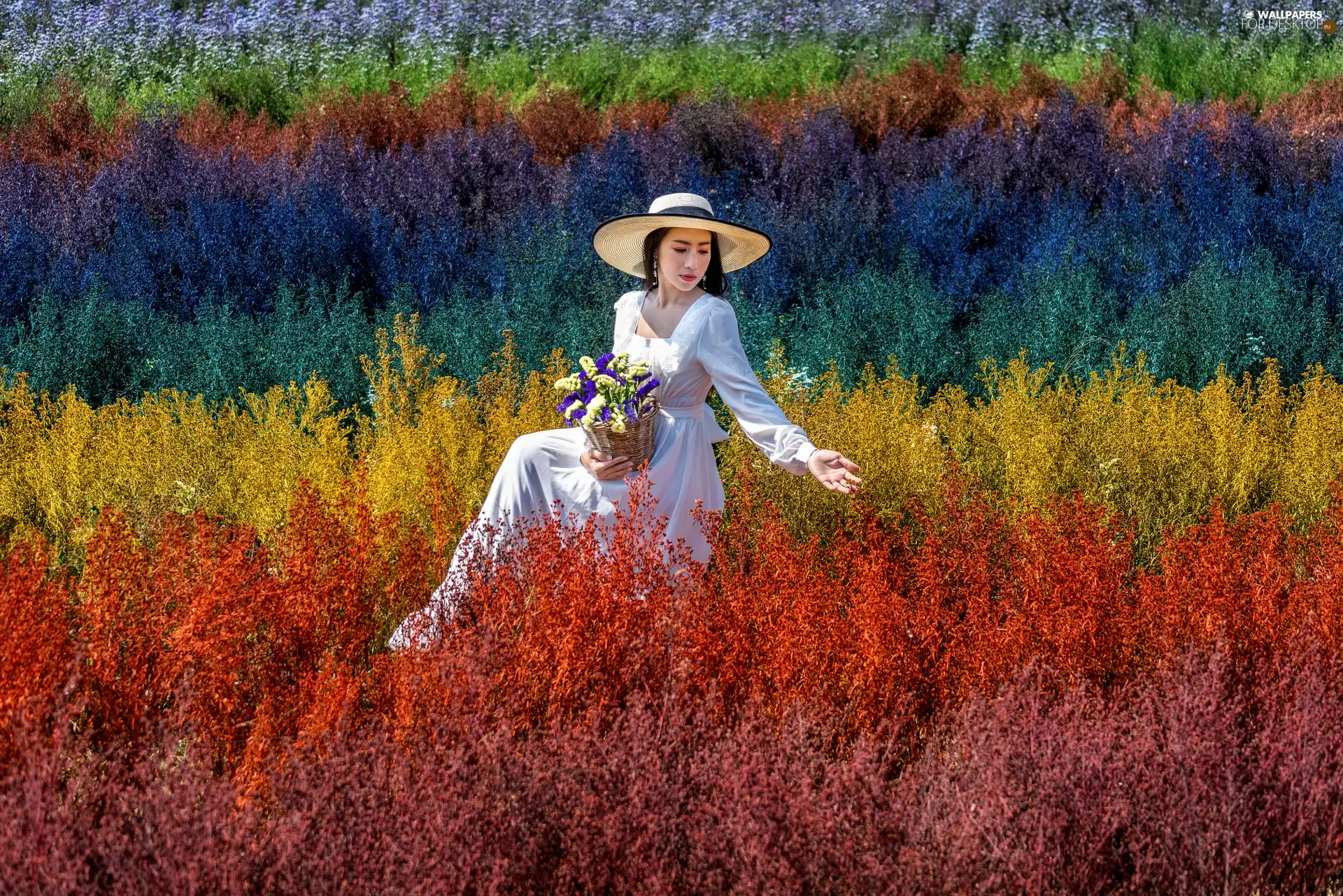 White, dress, Plants, Flowers, color, Hat, Women, Field