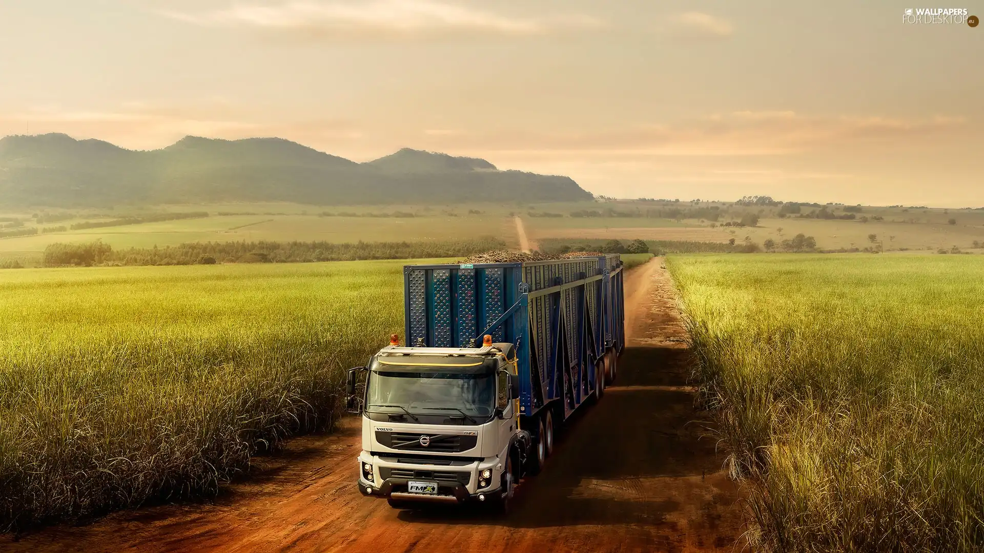 lorry, Way, Field, Volvo cars