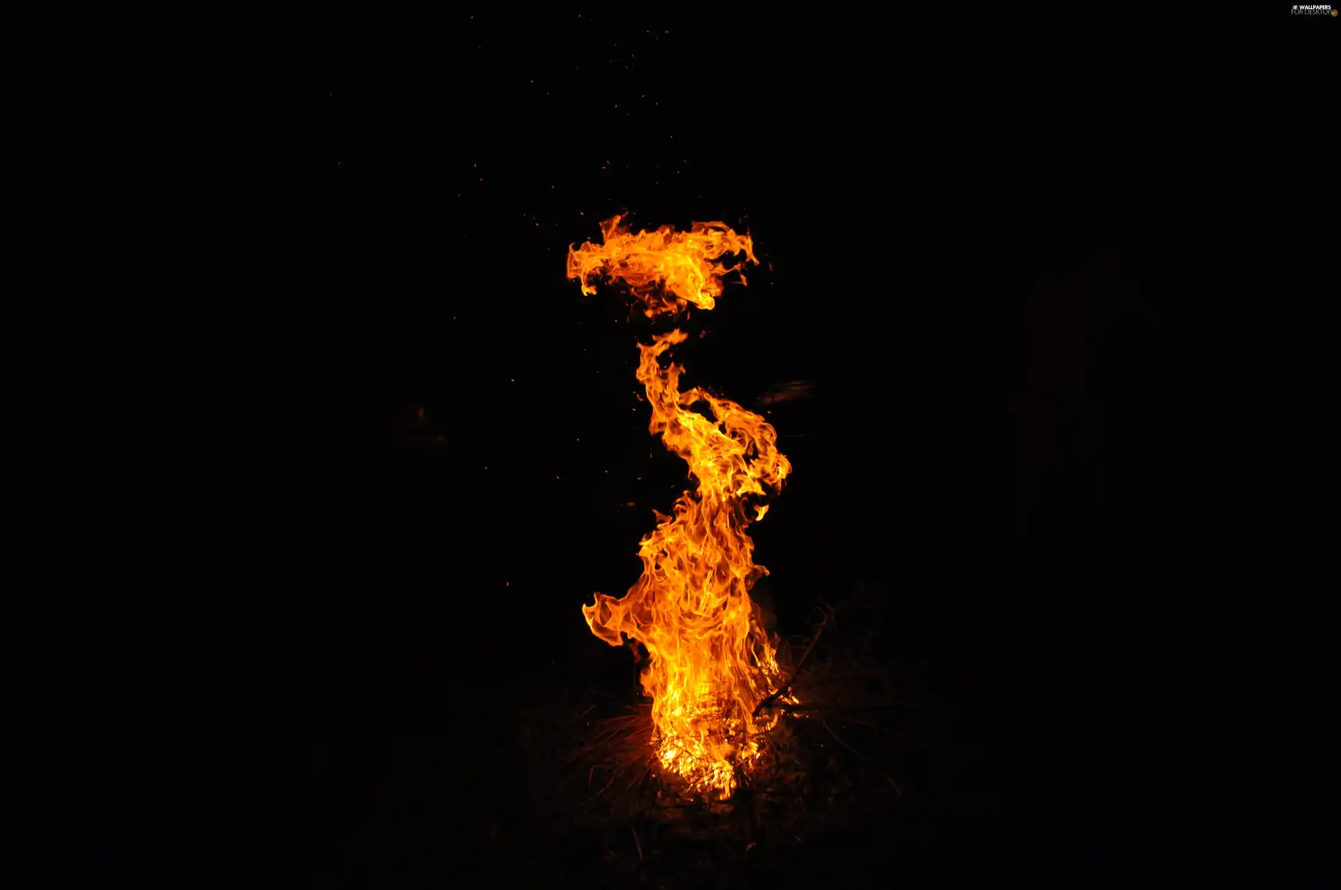 fire, high, flame