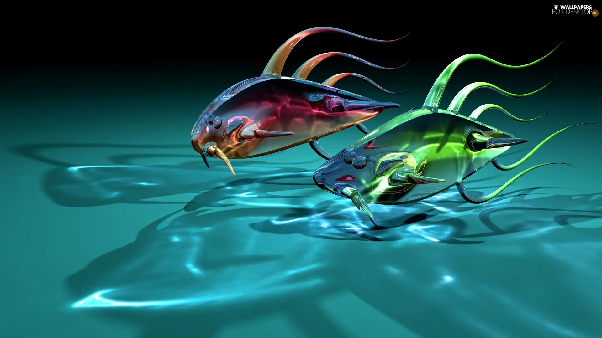 fish, graphics, 3D
