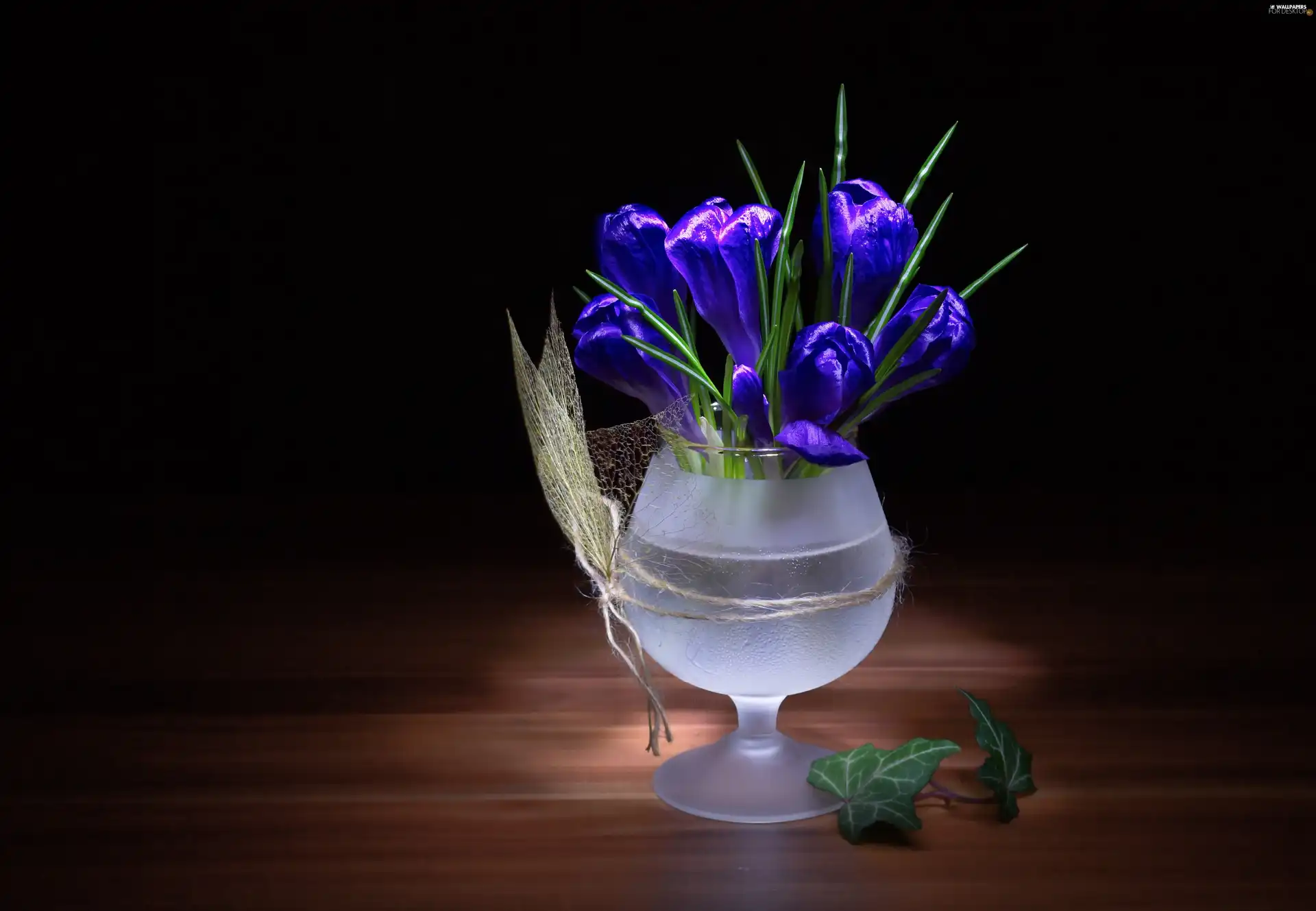 sun, glass, luminosity, ligh, crocuses, flash, decoration