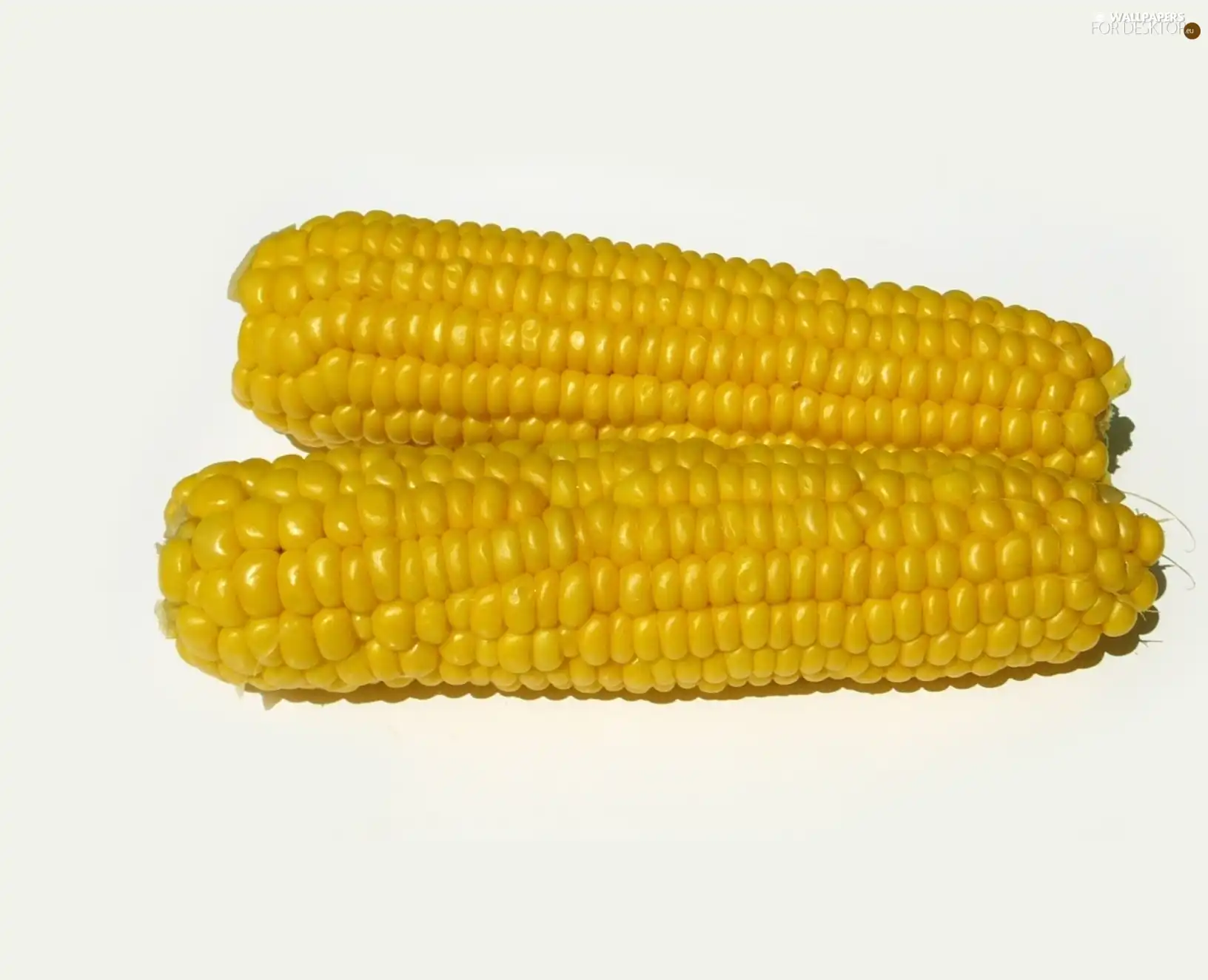 corn-cob, Two, flask