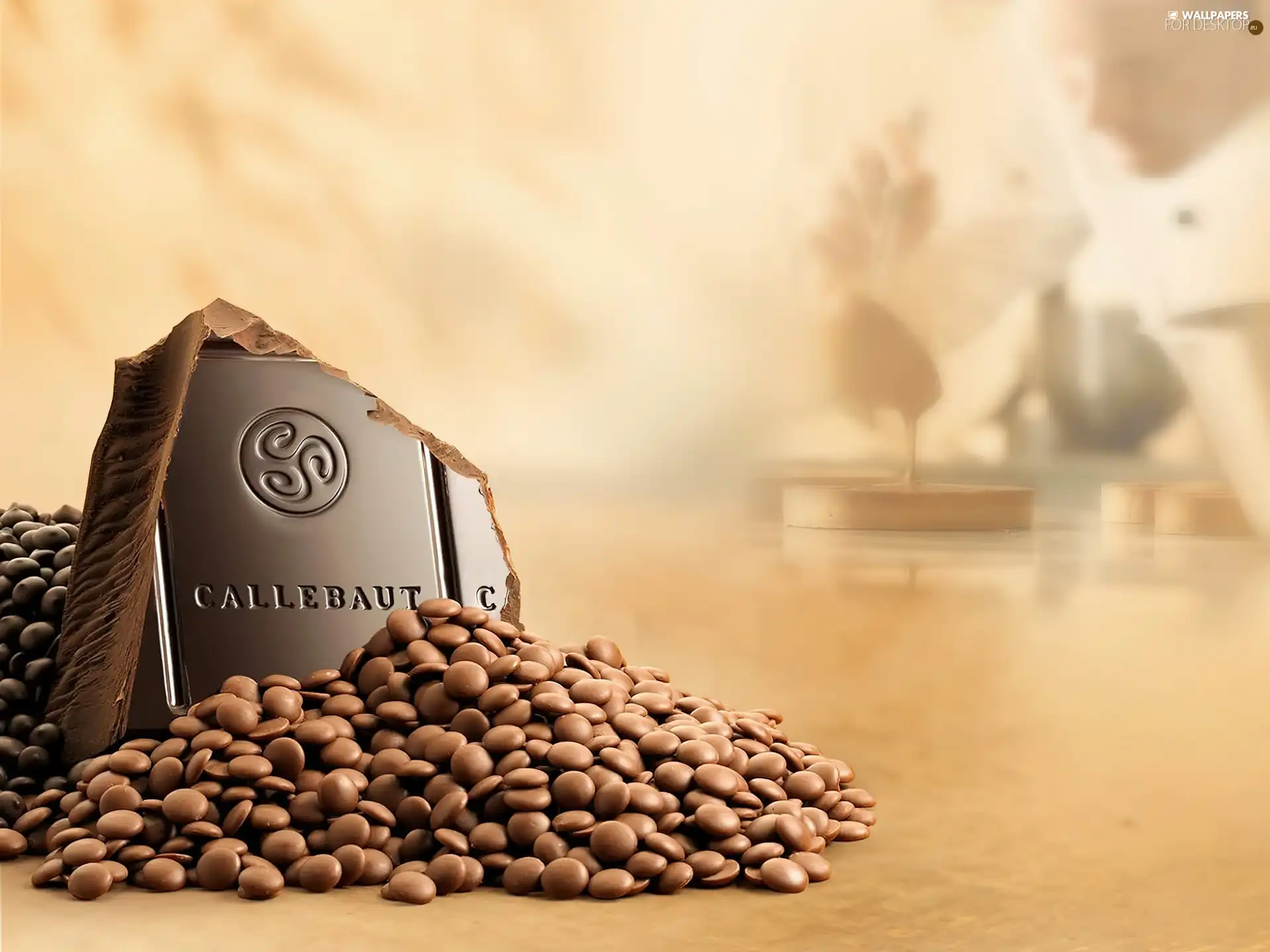 flea, chocolate, Callebaut