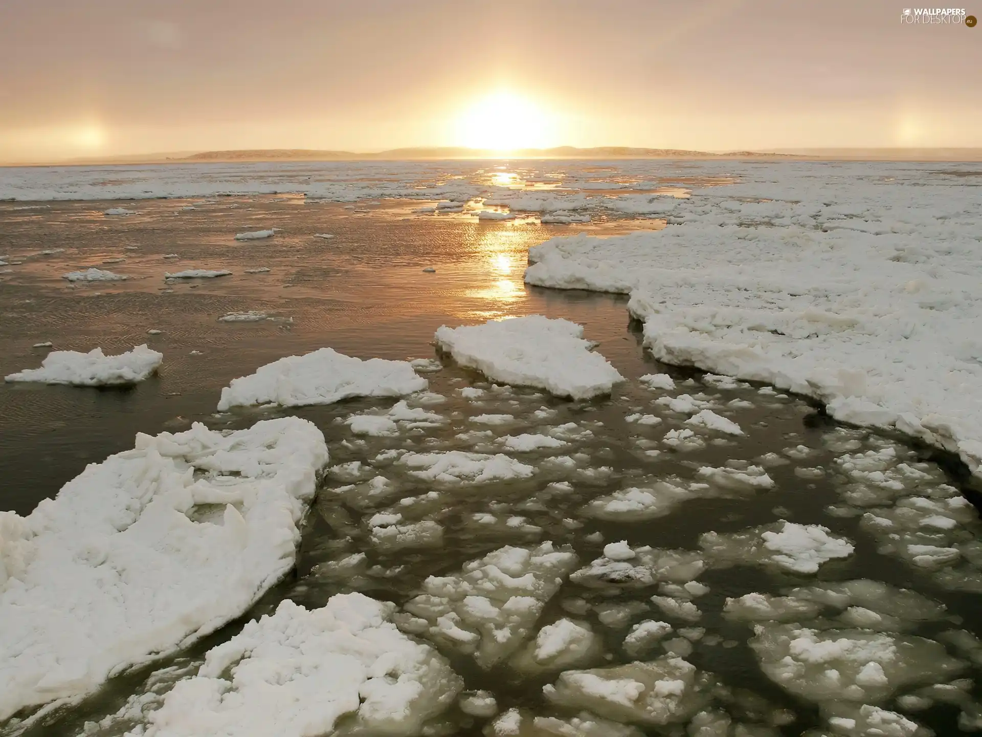 west, Icecream, floe, sea