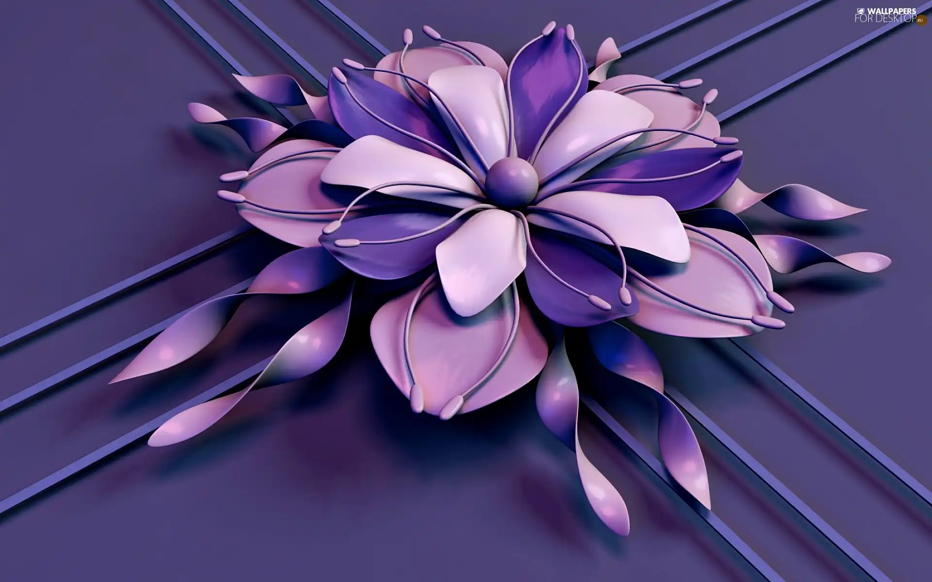 graphics, 3D Flower