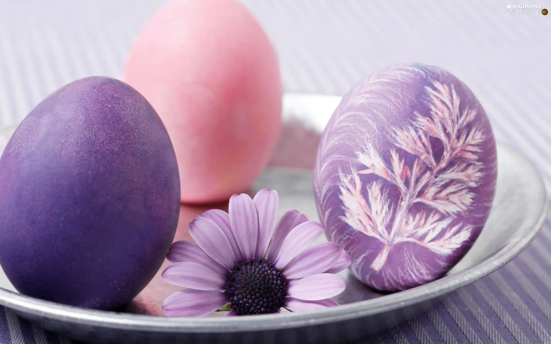 color, stand, flower, eggs