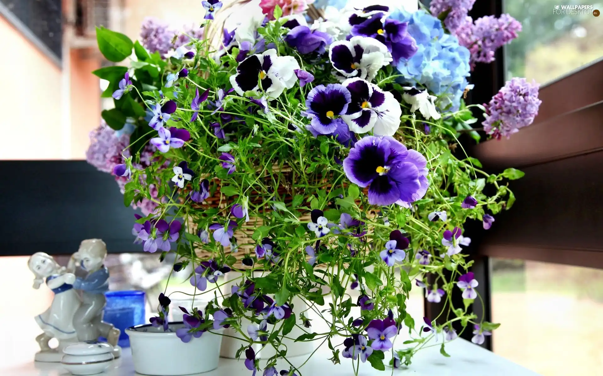 Flower, pansies, composition