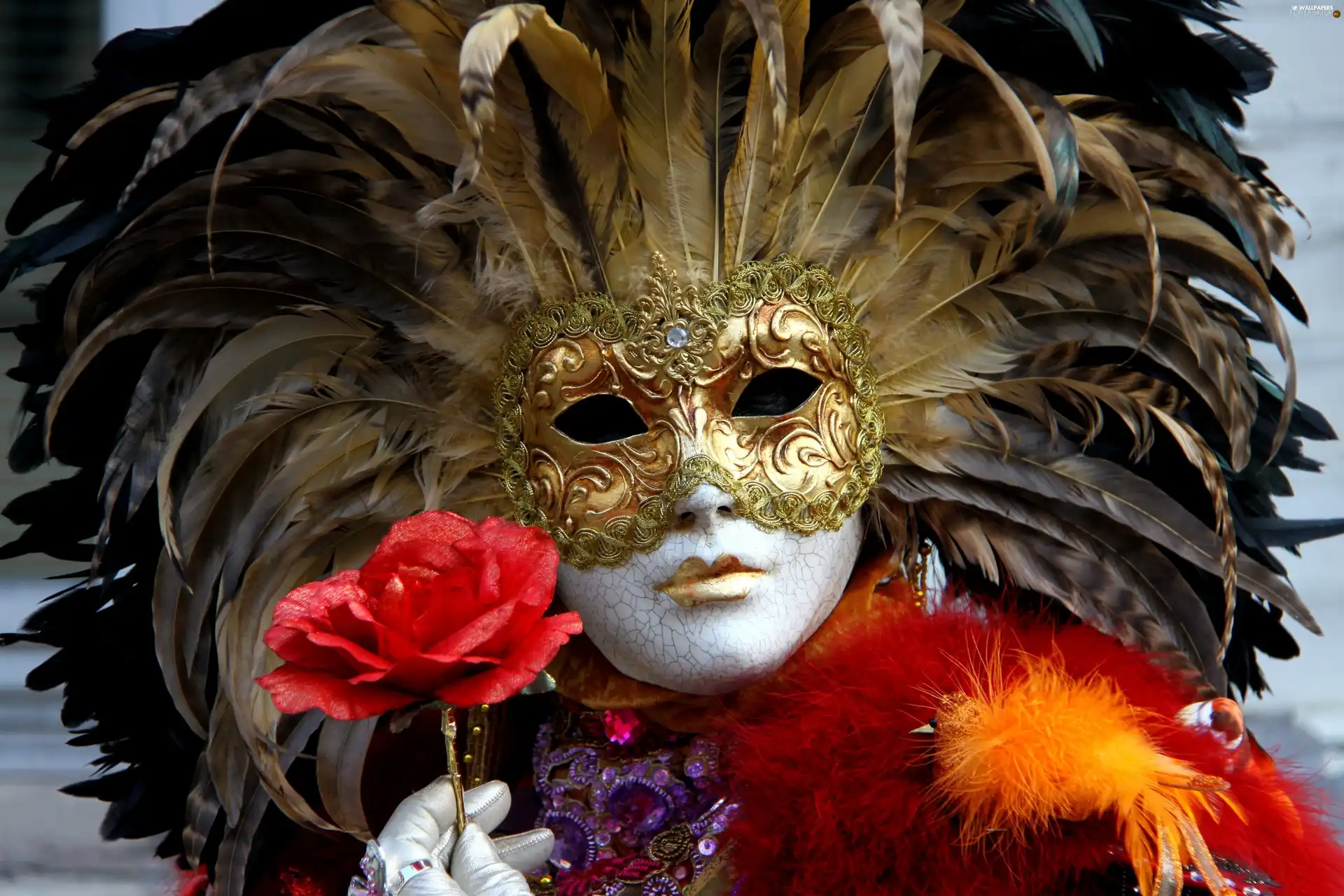 Mask, hand, Flower, feather