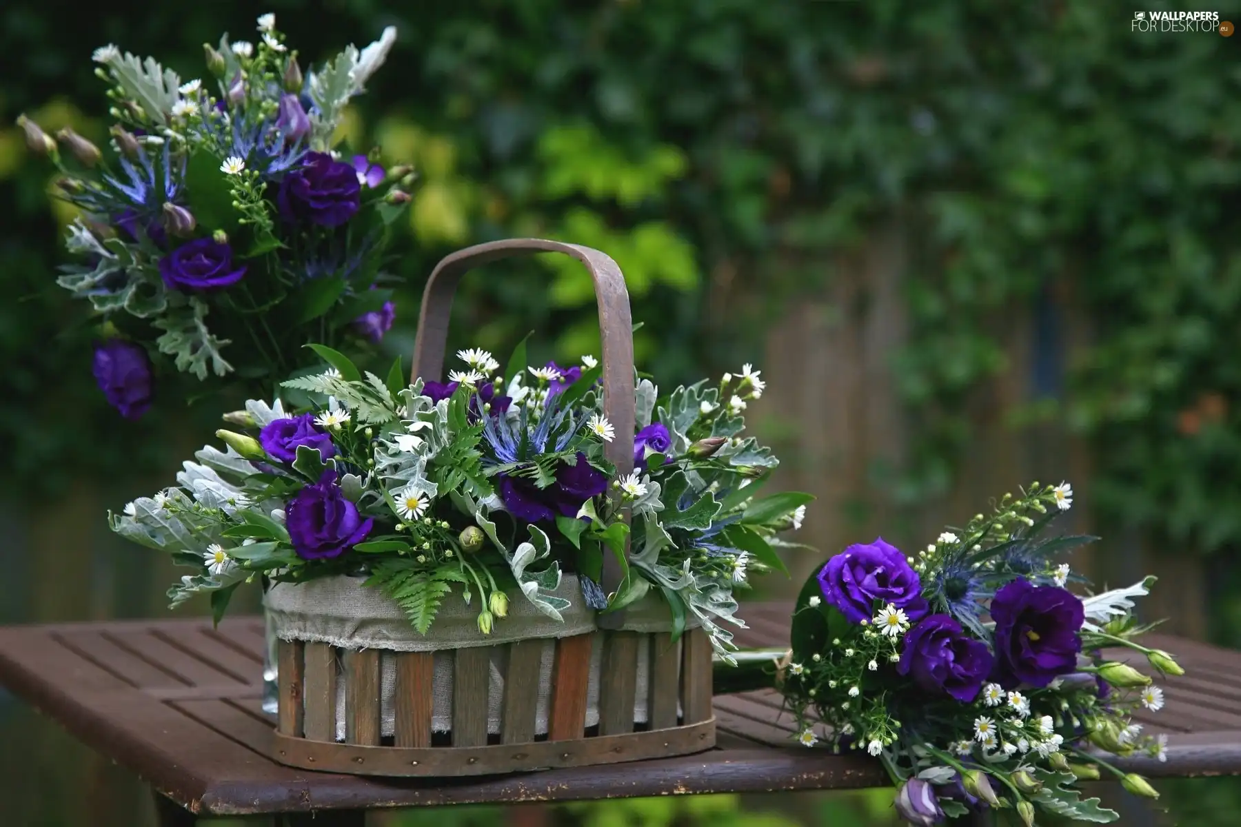 Baskets, violet, flowers, Bouquets