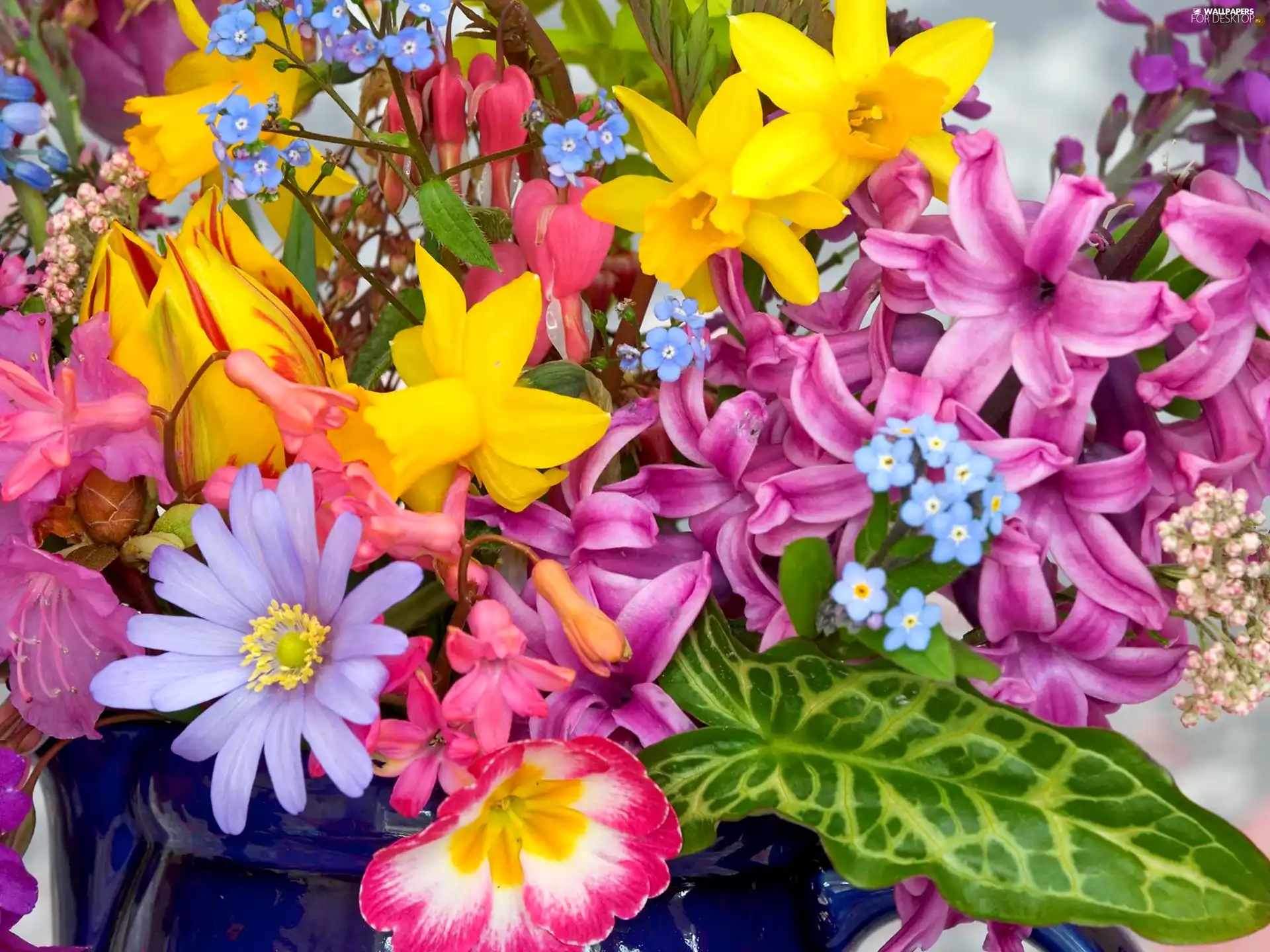 bouquet, Flowers